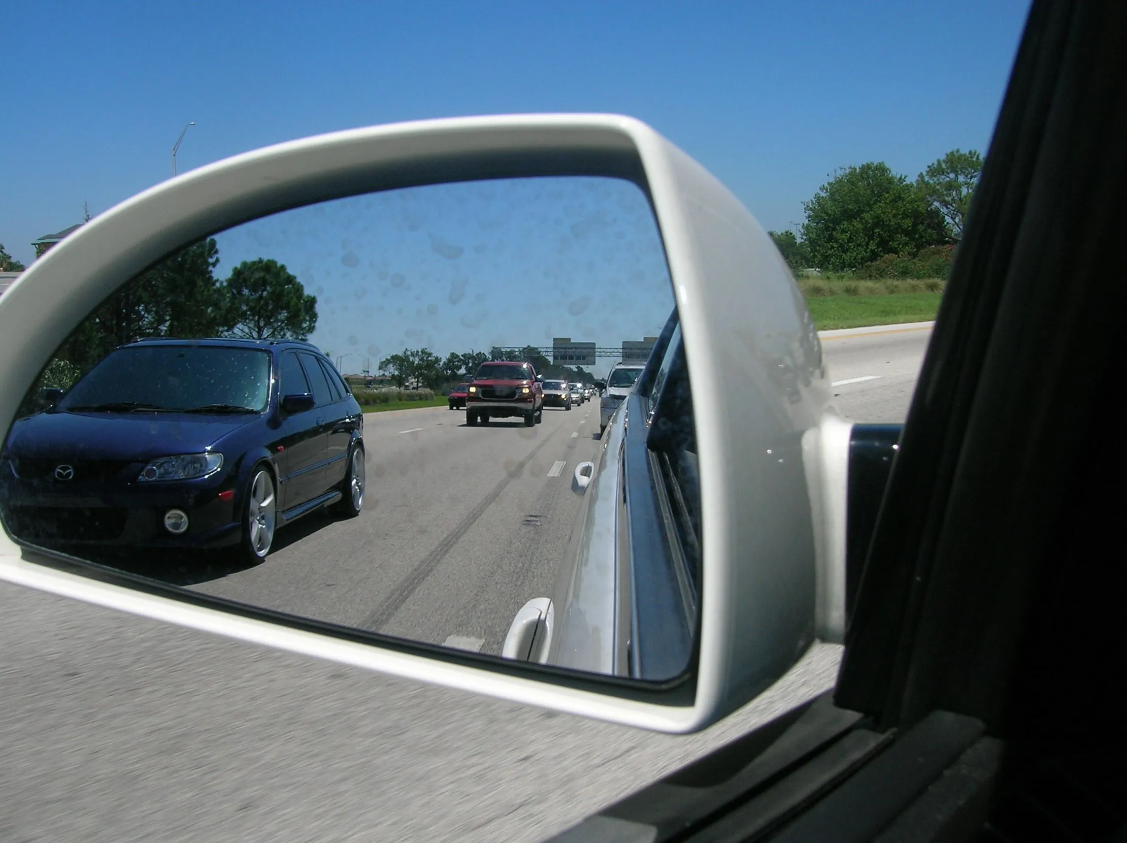DSCN0641.webp