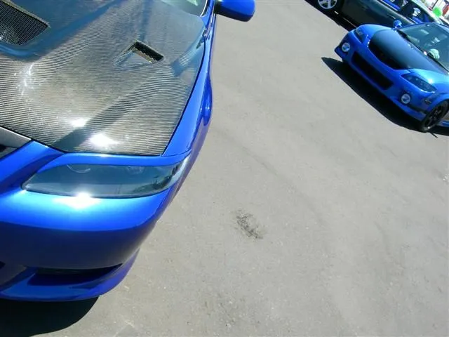 DSCN0775 (Small).JPG