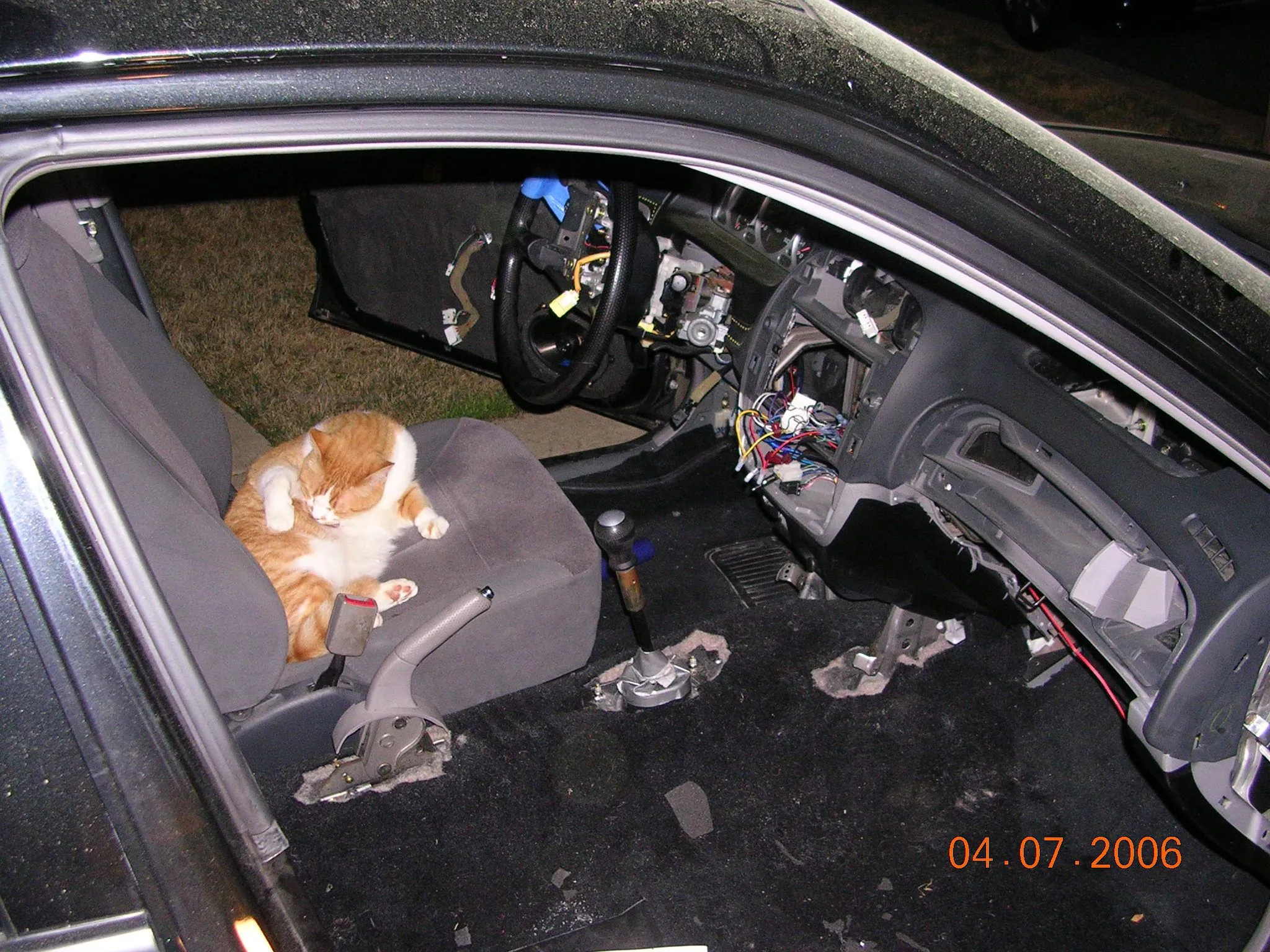 DSCN0934.JPG