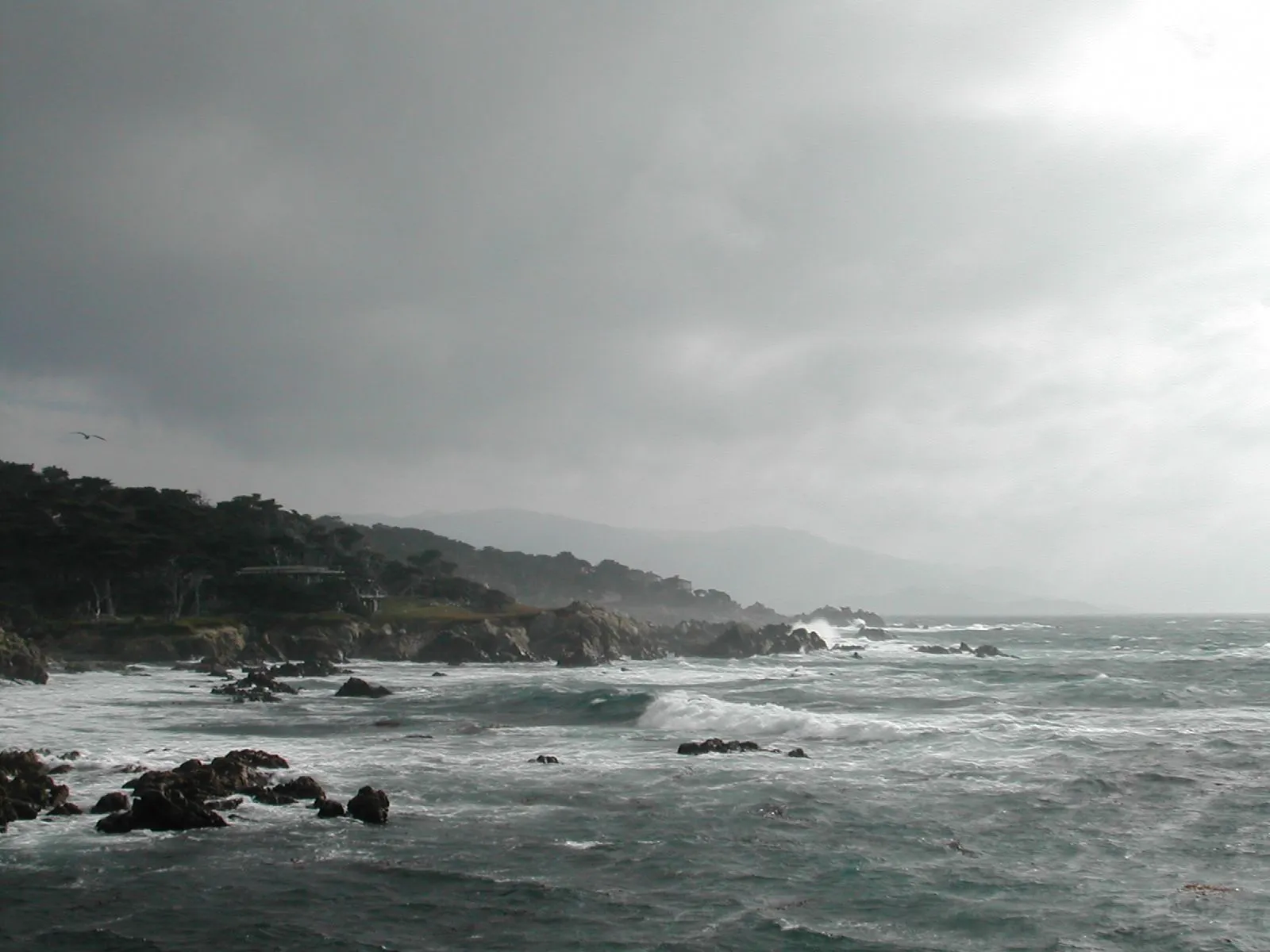 DSCN1027.webp