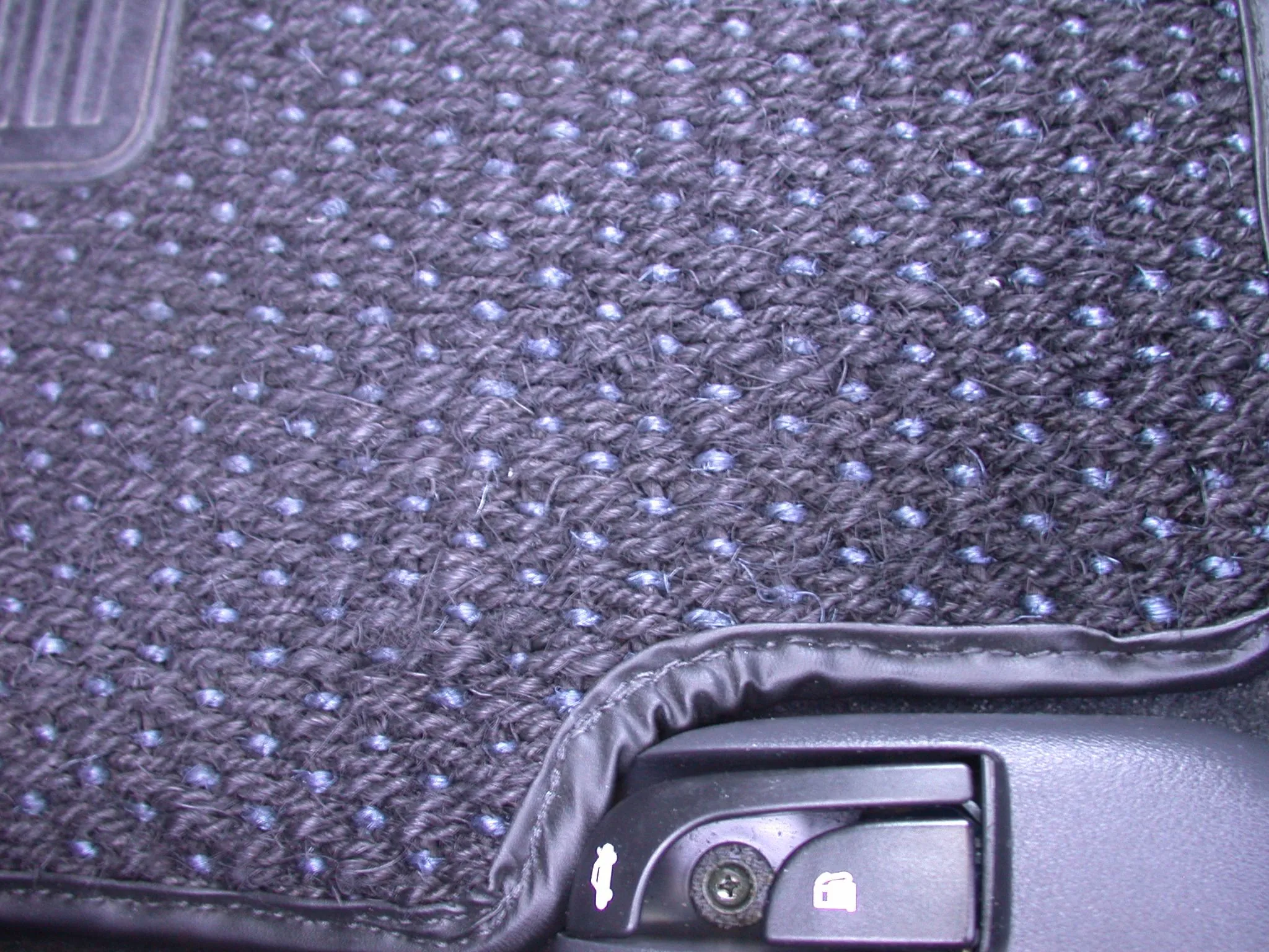 DSCN1047.webp