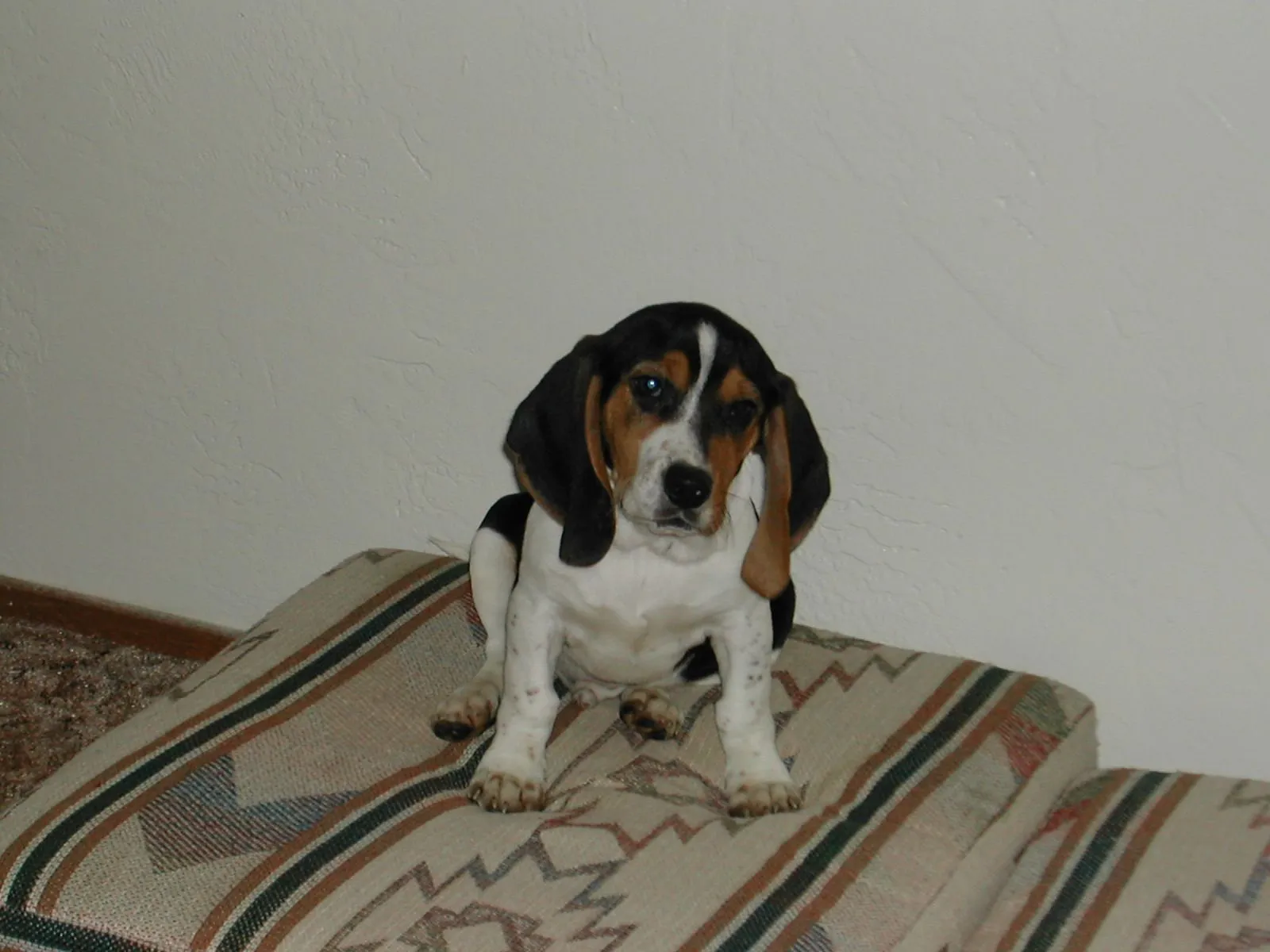 DSCN1051.webp