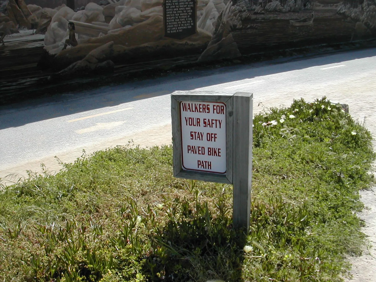 DSCN1064.webp