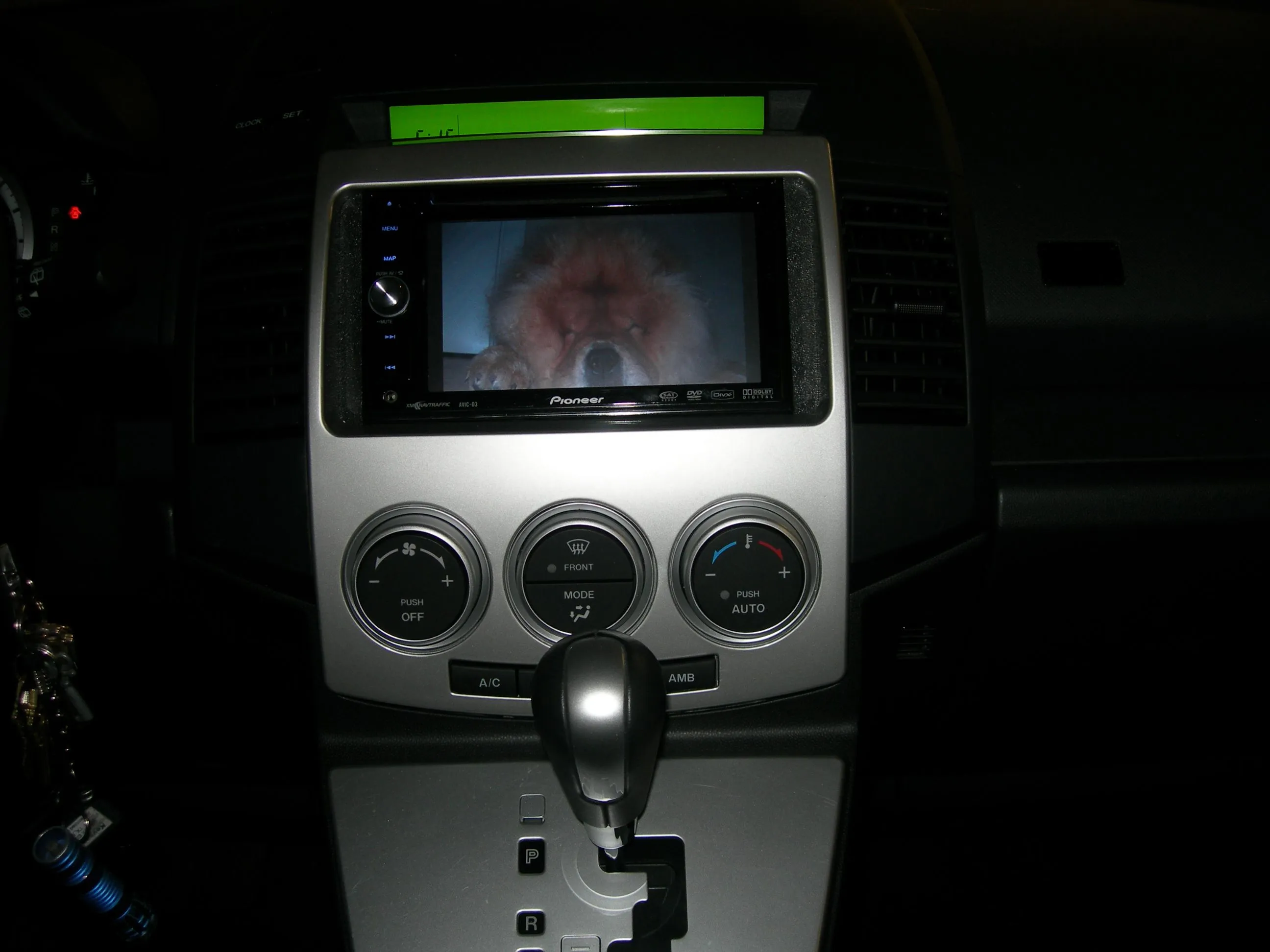 DSCN1203.JPG