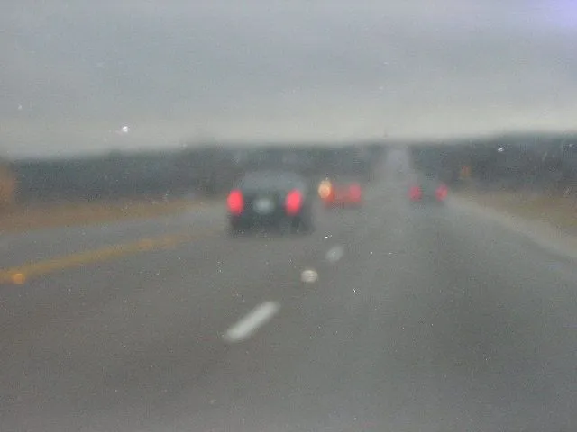 DSCN1409.webp