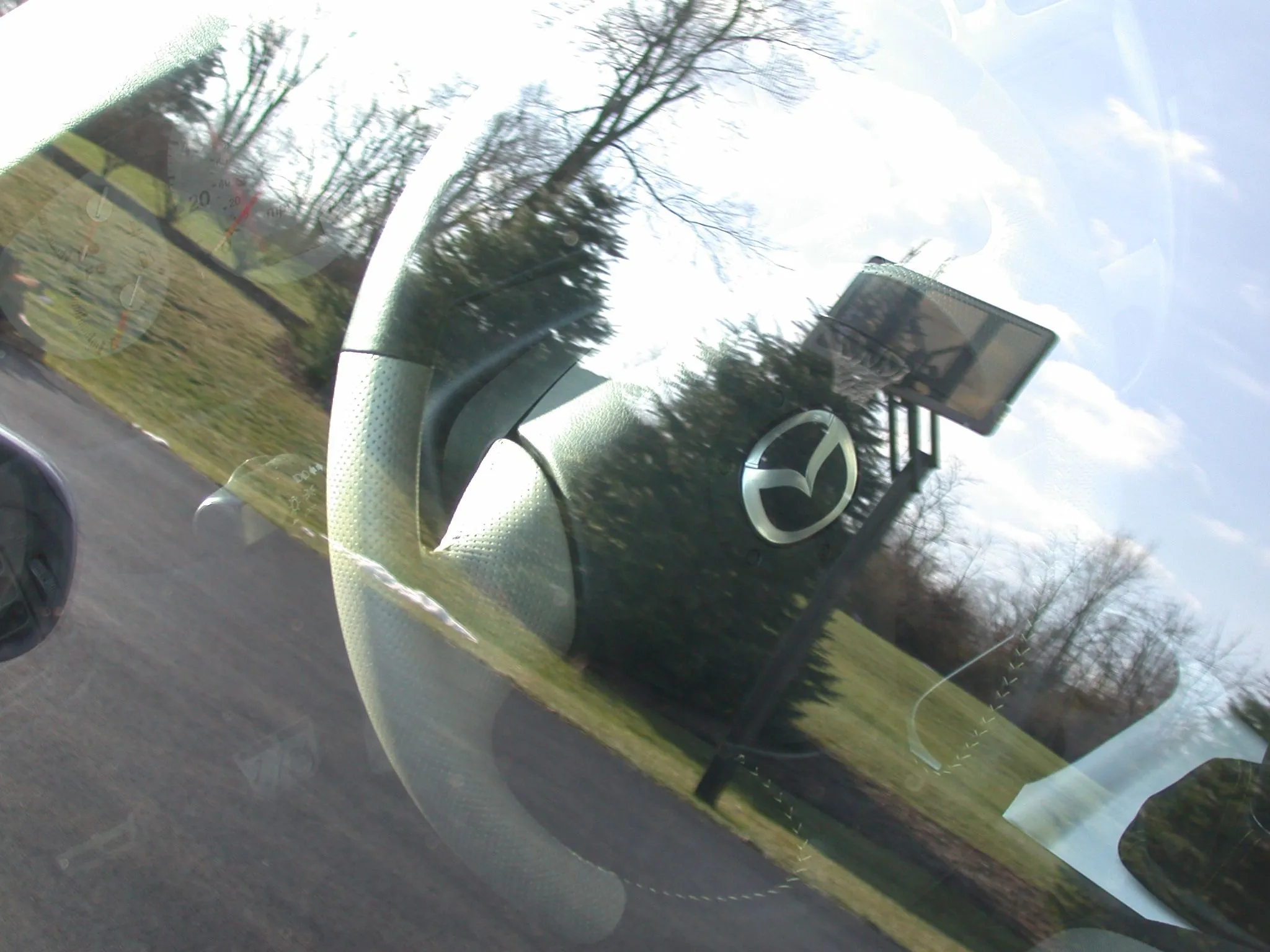DSCN1703.webp