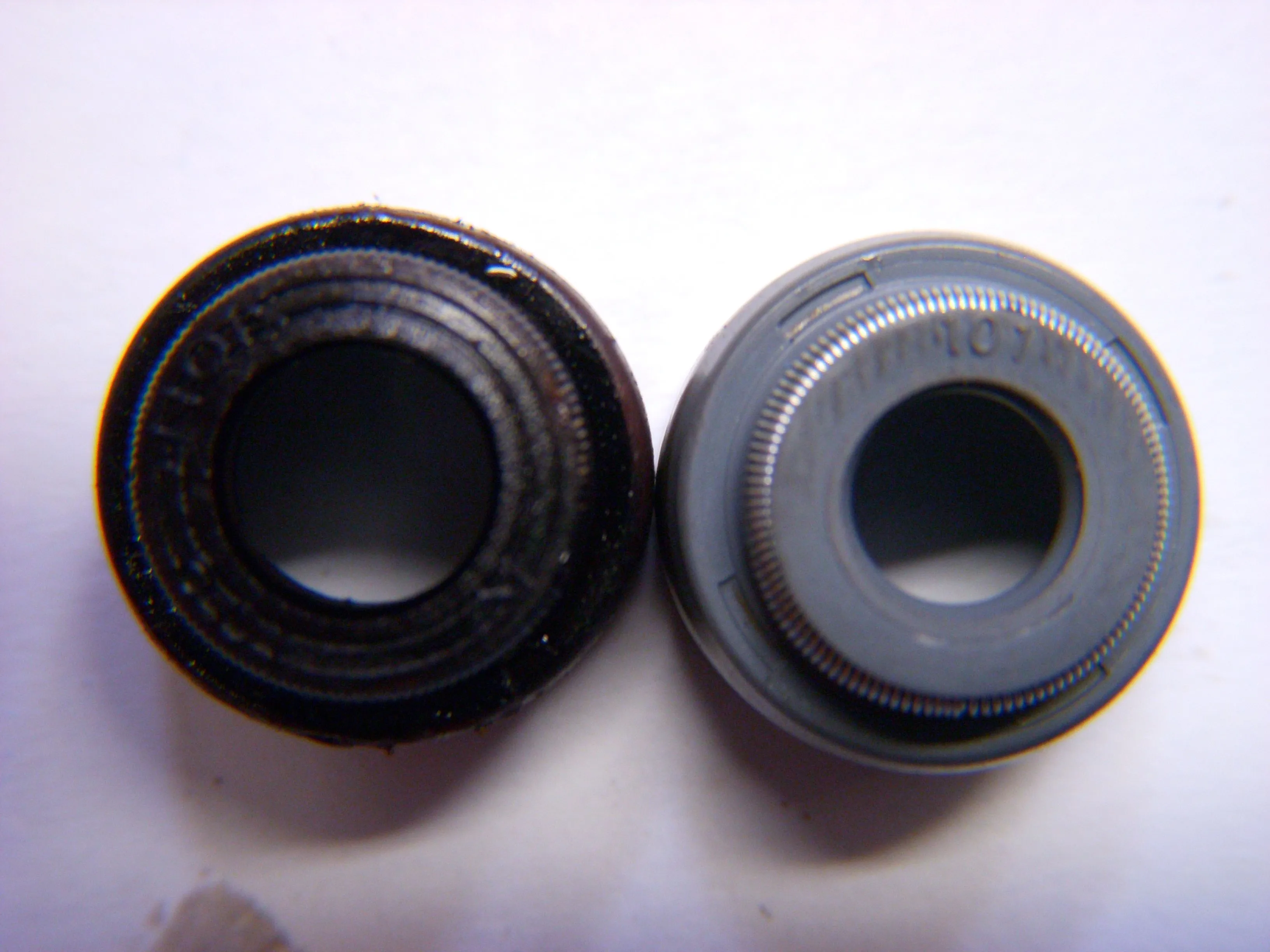 DSCN1911.jpg