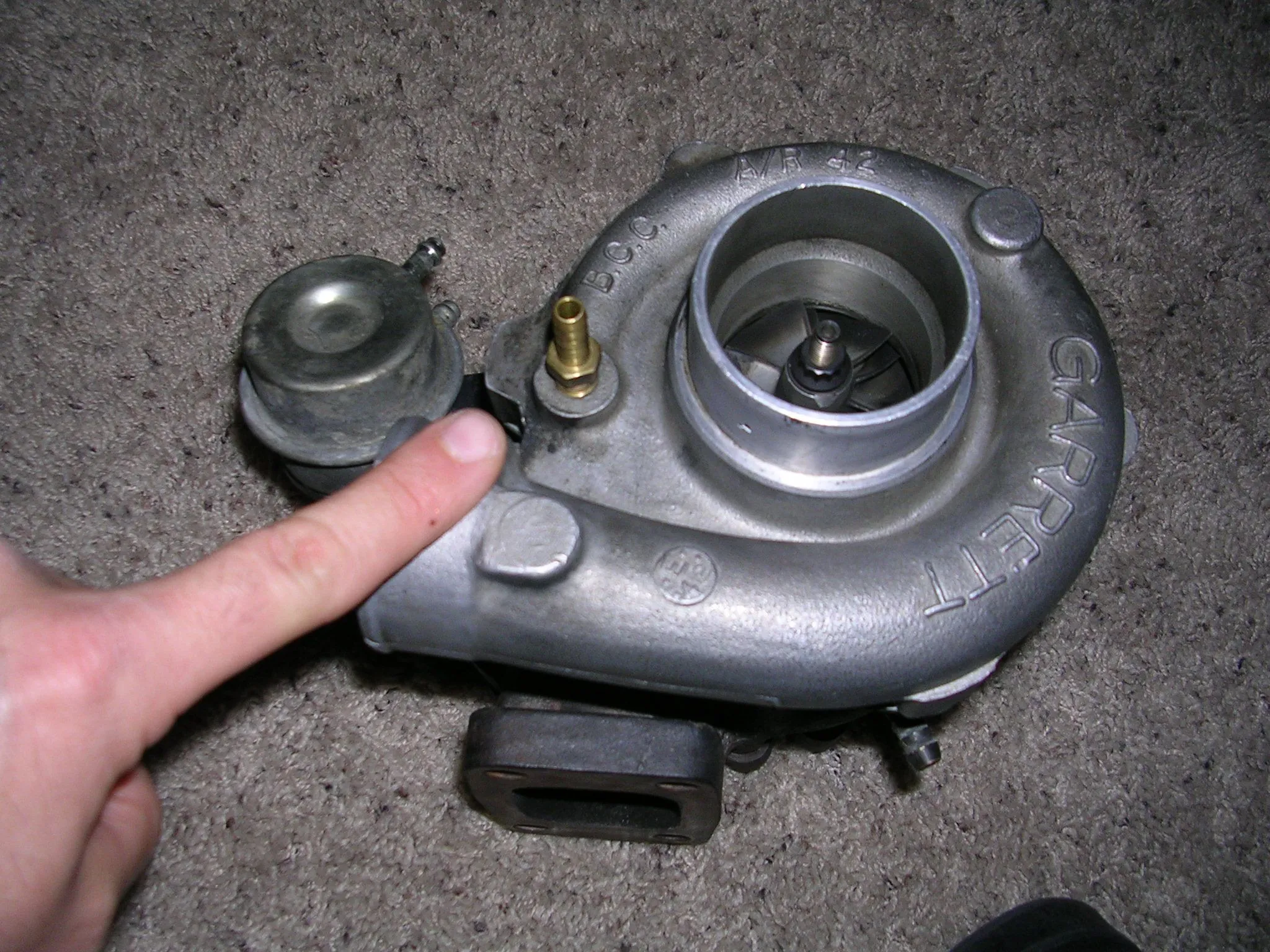 DSCN2343.webp