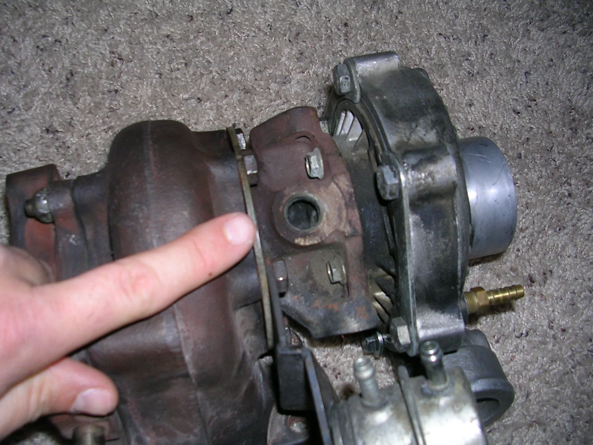 DSCN2345.webp