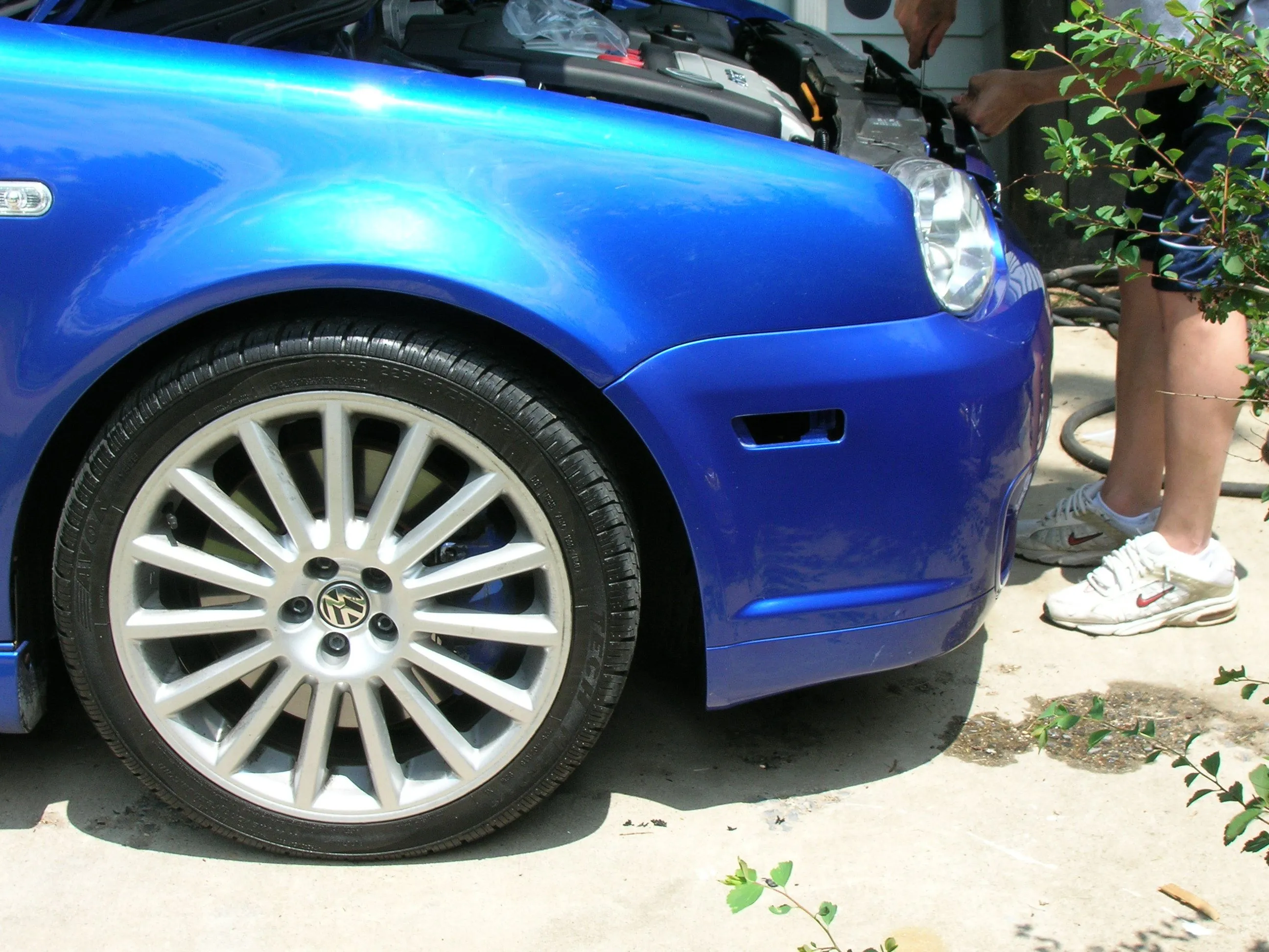 DSCN2465.webp