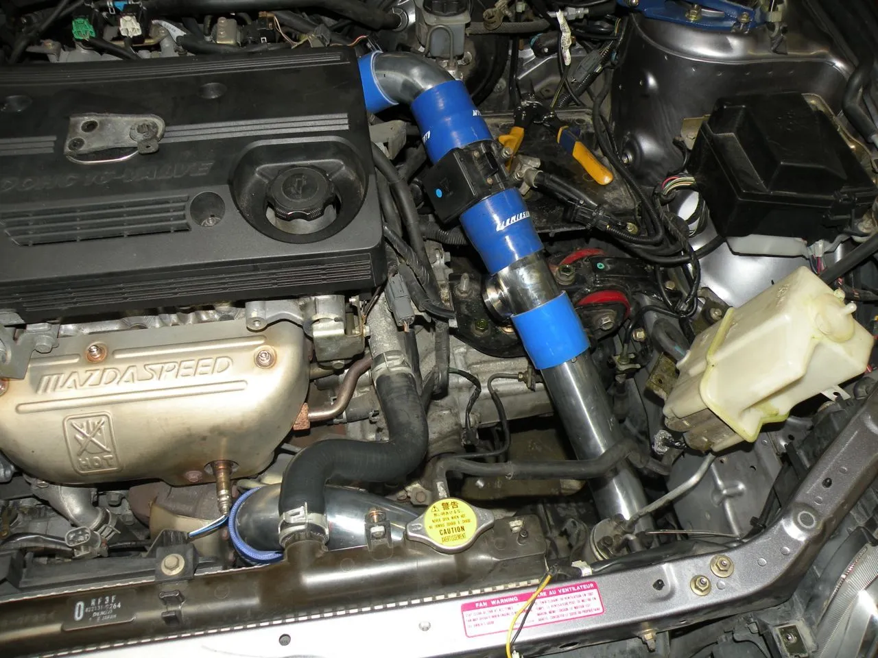 DSCN2761.jpg