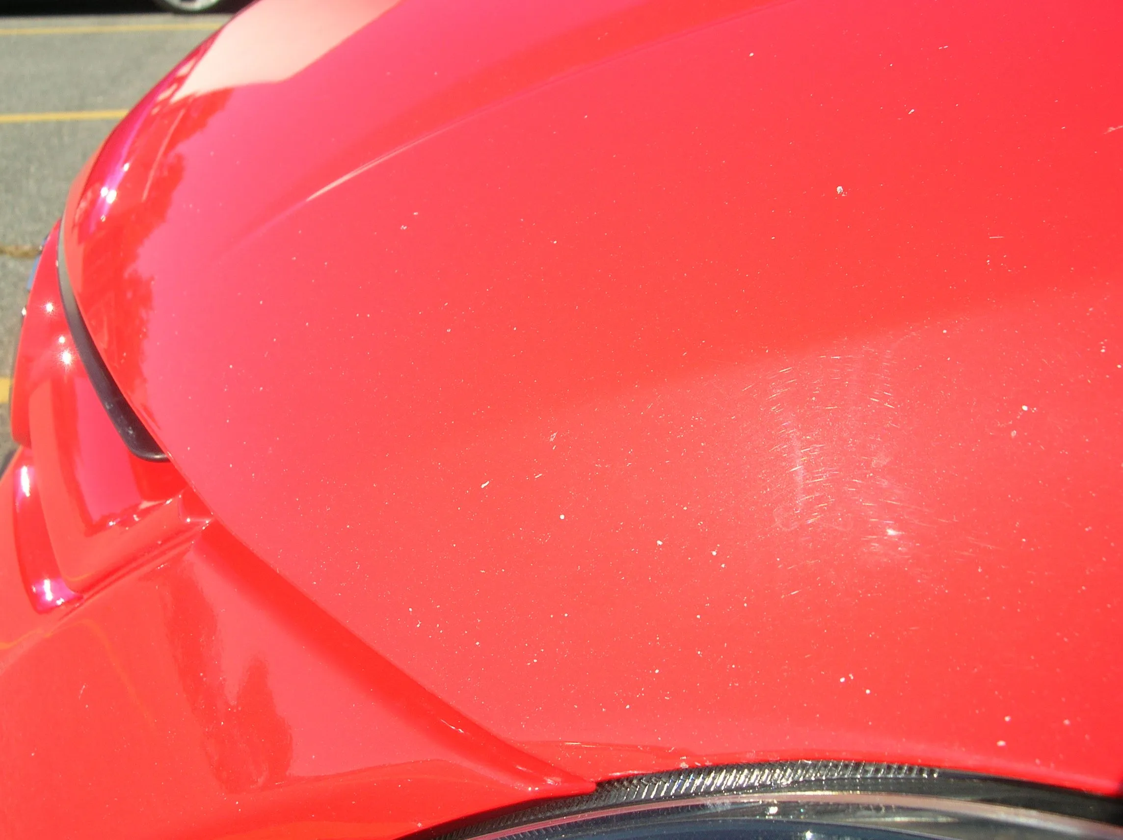 DSCN2901.JPG