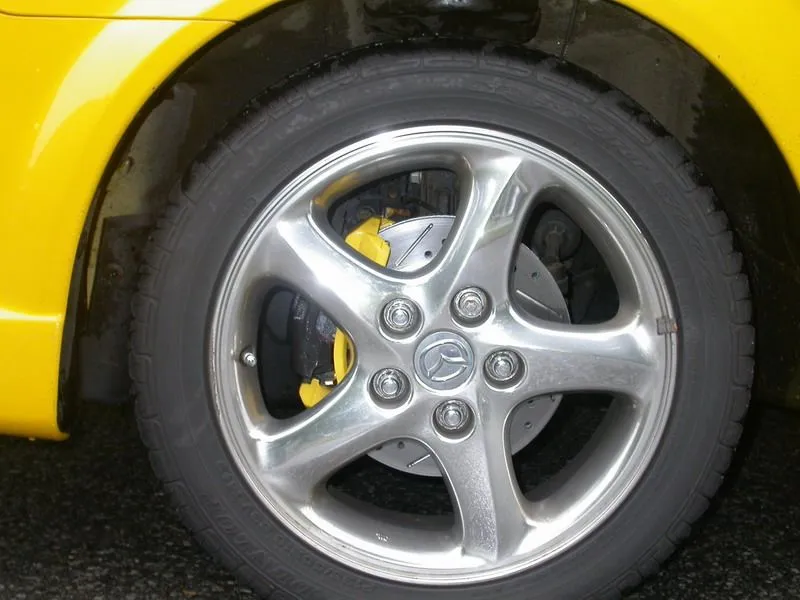 DSCN3617.webp