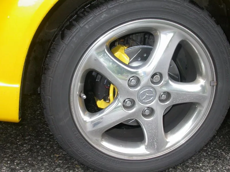 DSCN3621.webp