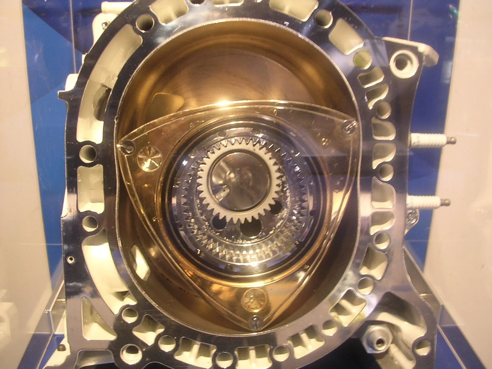 DSCN3823.webp