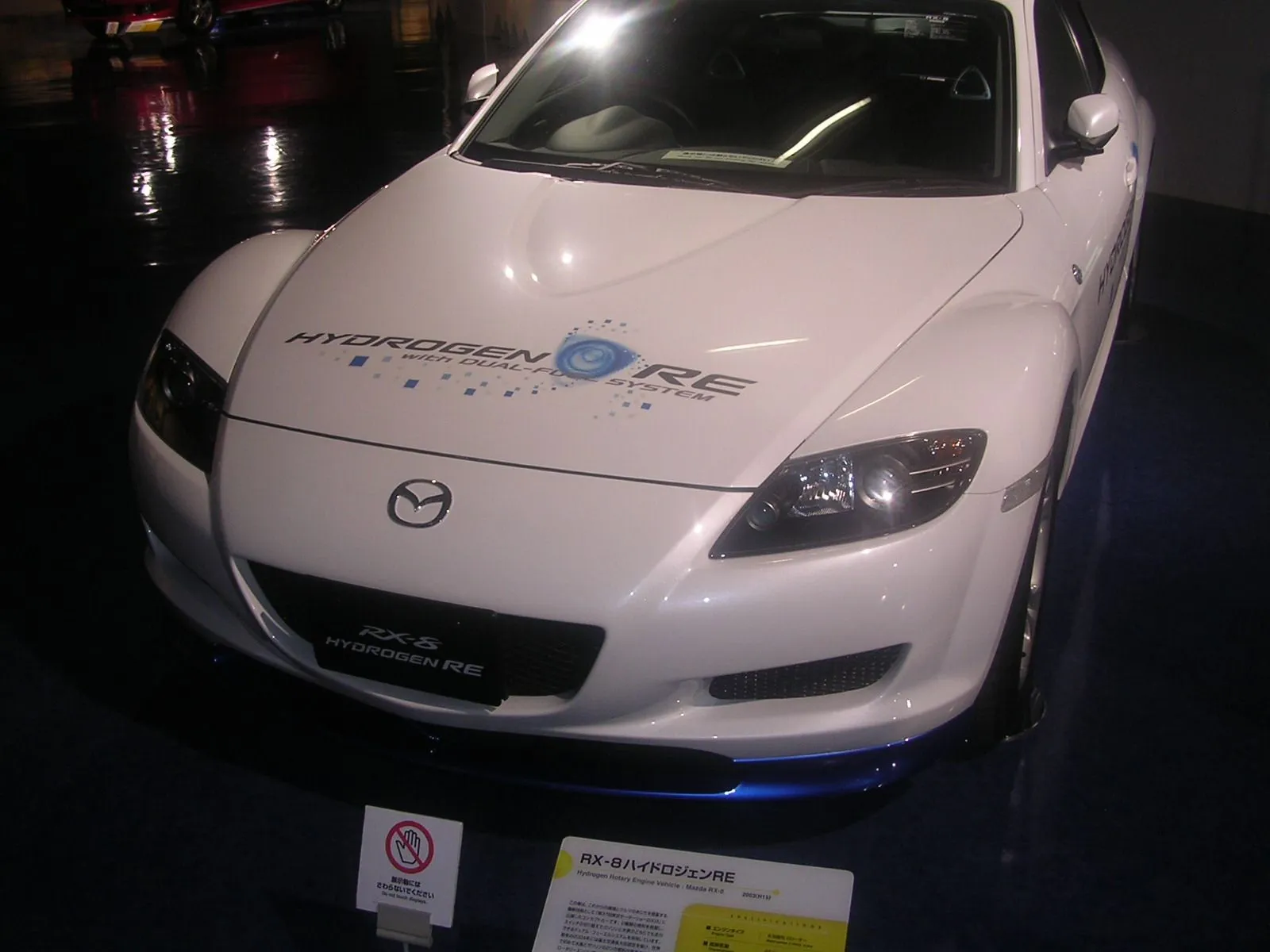 DSCN3831.webp
