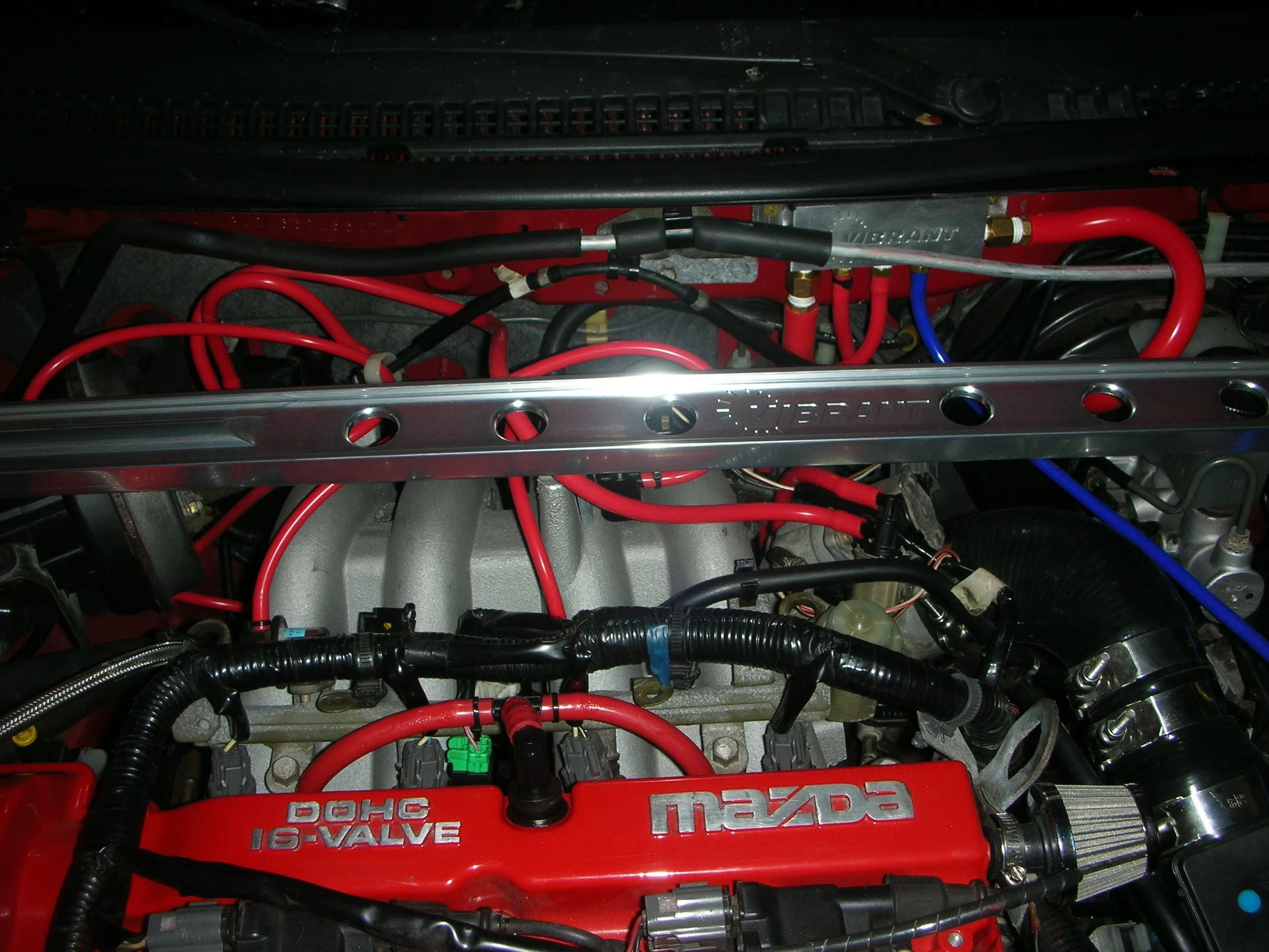 DSCN4295.webp