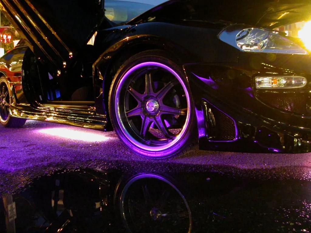 DSCN5737.webp