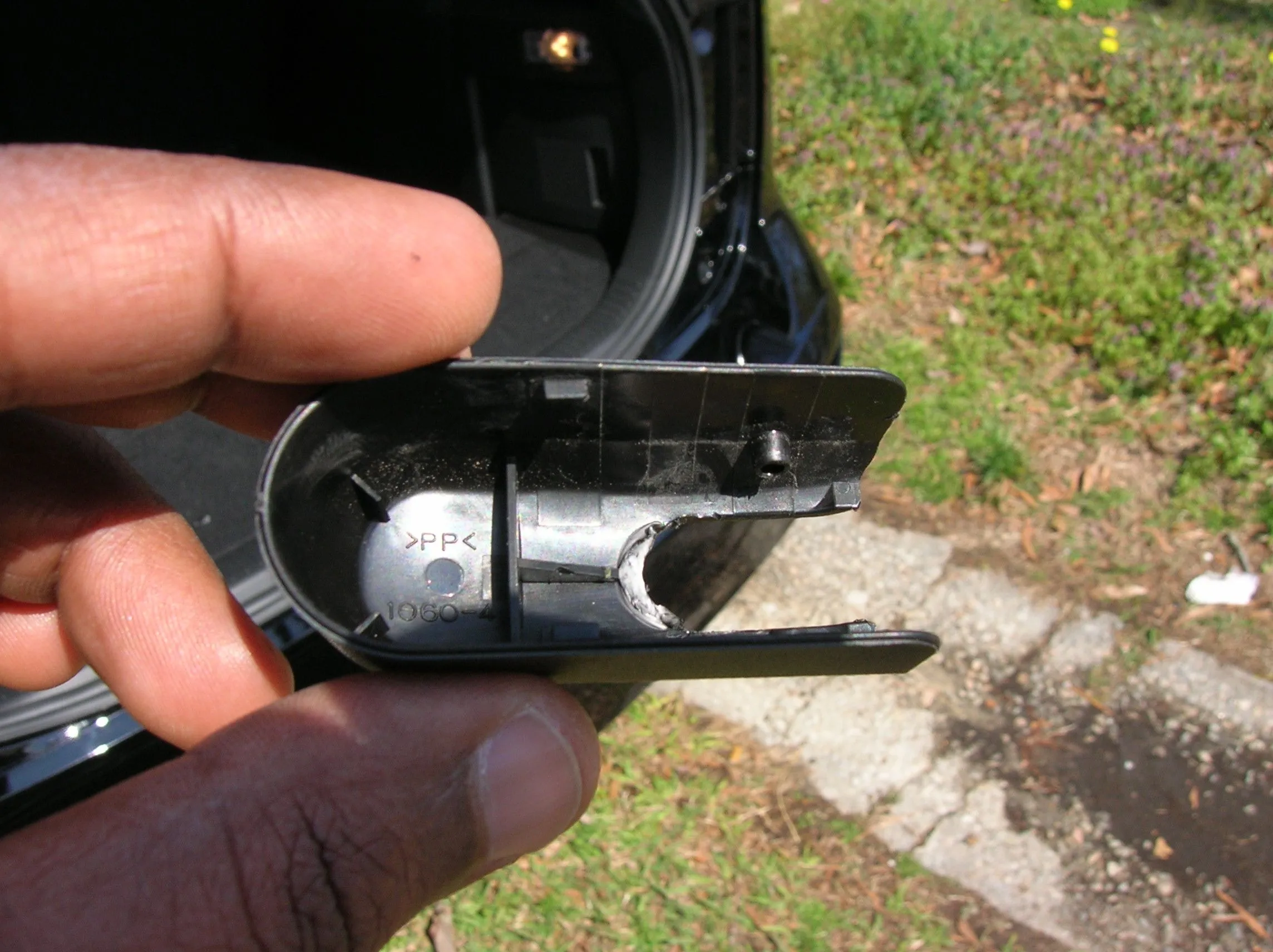 DSCN7215.JPG