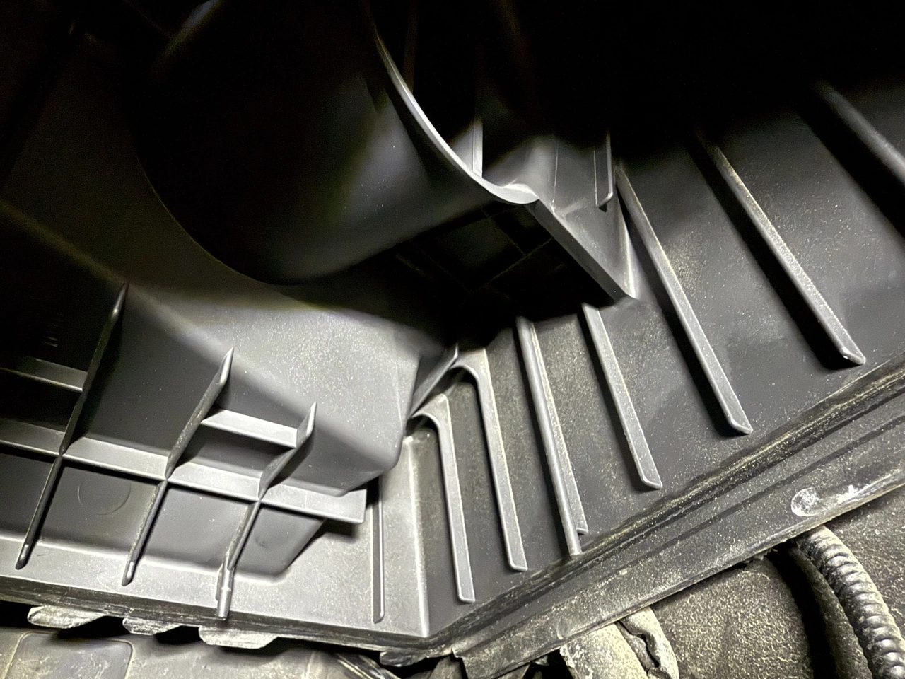 Dust in filter housing.webp