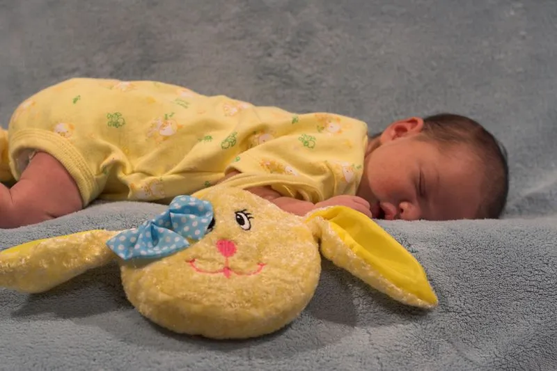 Easter Bunny.webp