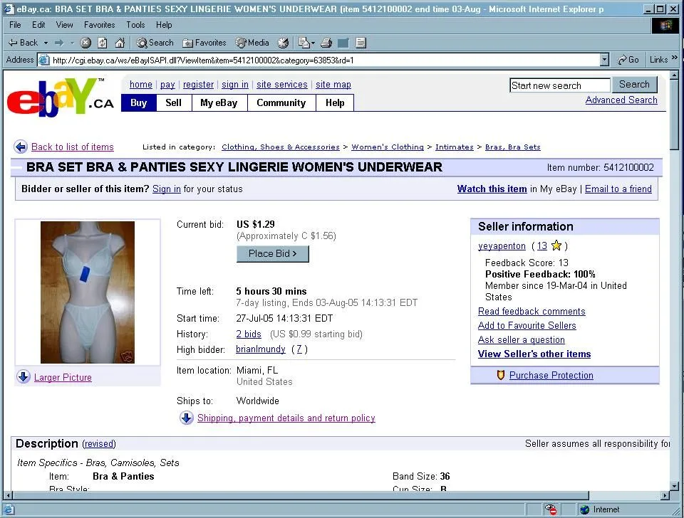 ebaybrian.webp