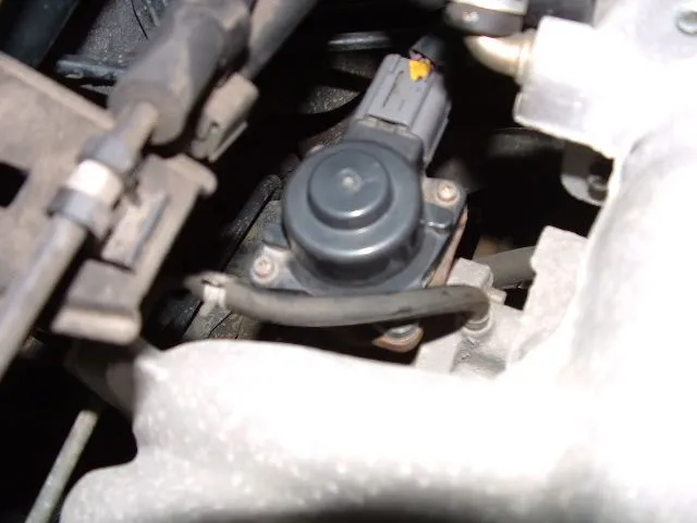 egr04.JPG