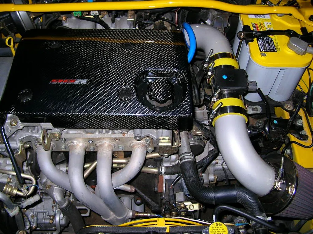 egr1.webp