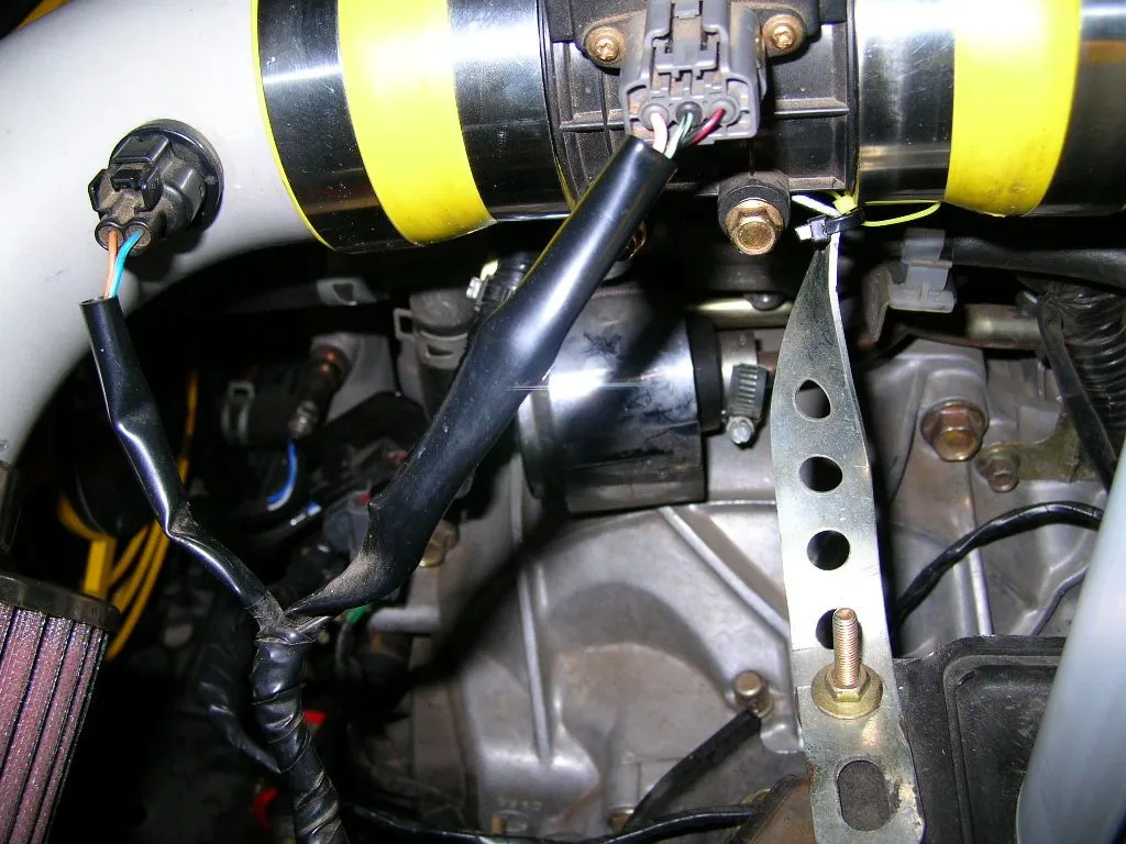 egr3.webp