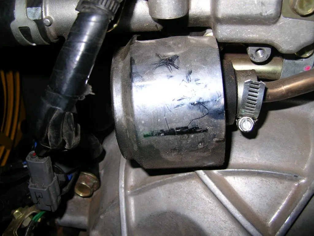 egr4.webp