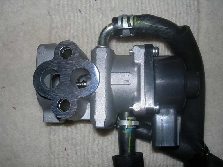 egrdetail2.jpg