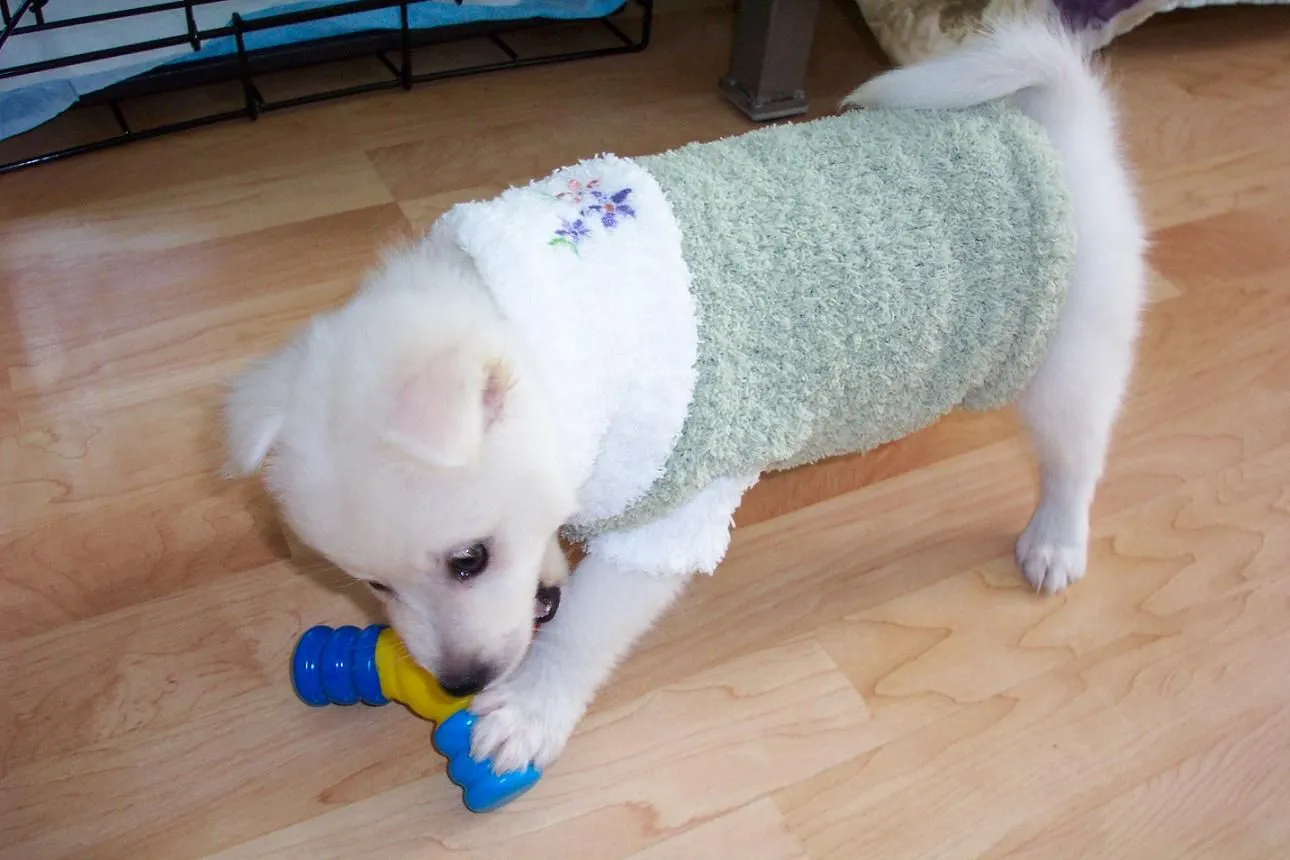 Ella 11-20-06.webp
