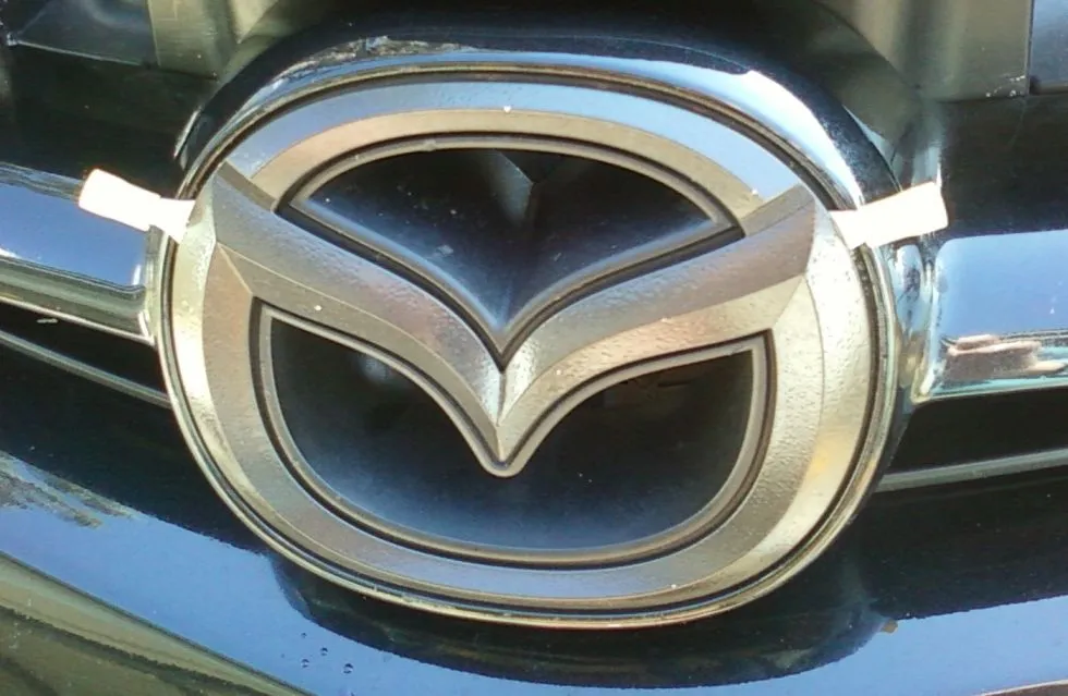 emblem removal.jpg