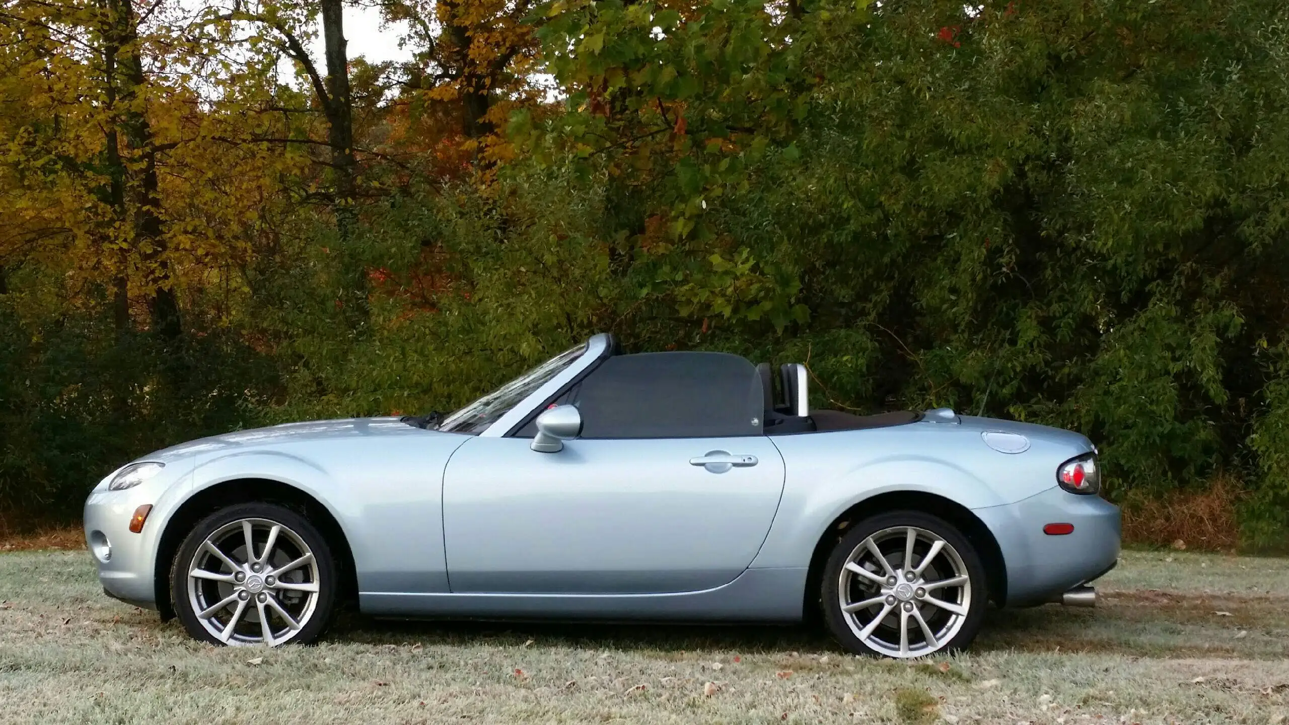 Emilia - 10-27-15.webp