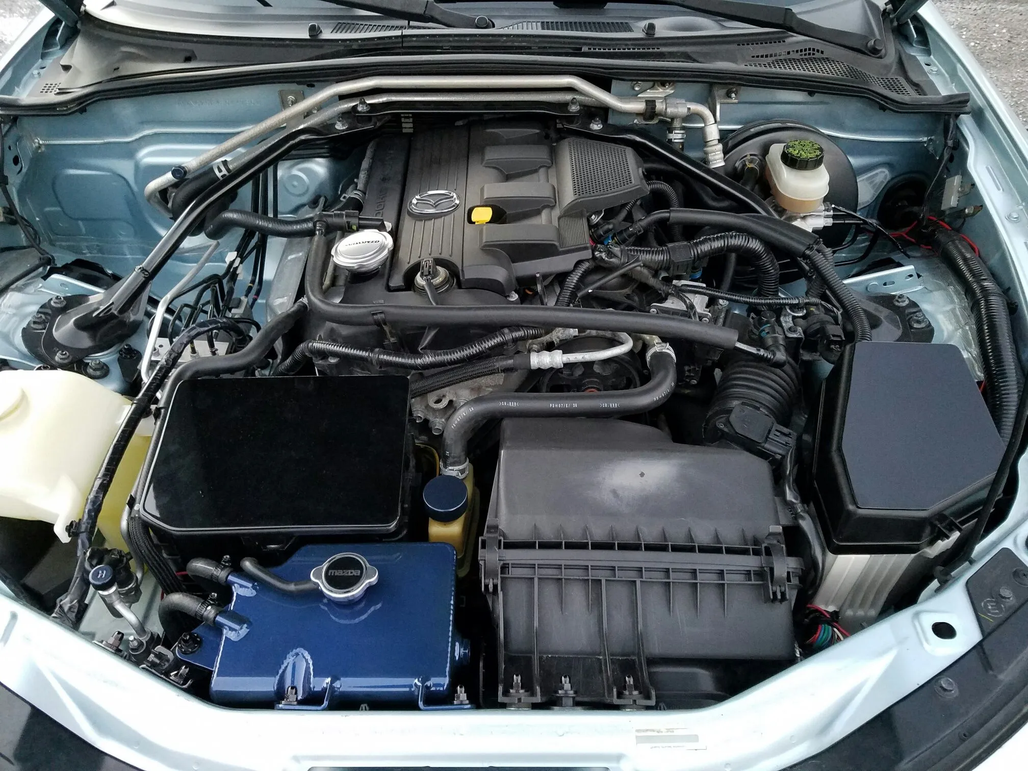 Emilia - Engine Bay Bling - After.jpeg