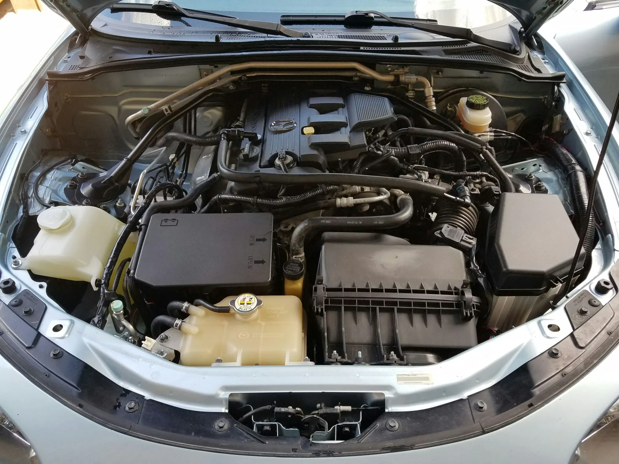 Emilia - Engine Bay Clean.jpeg