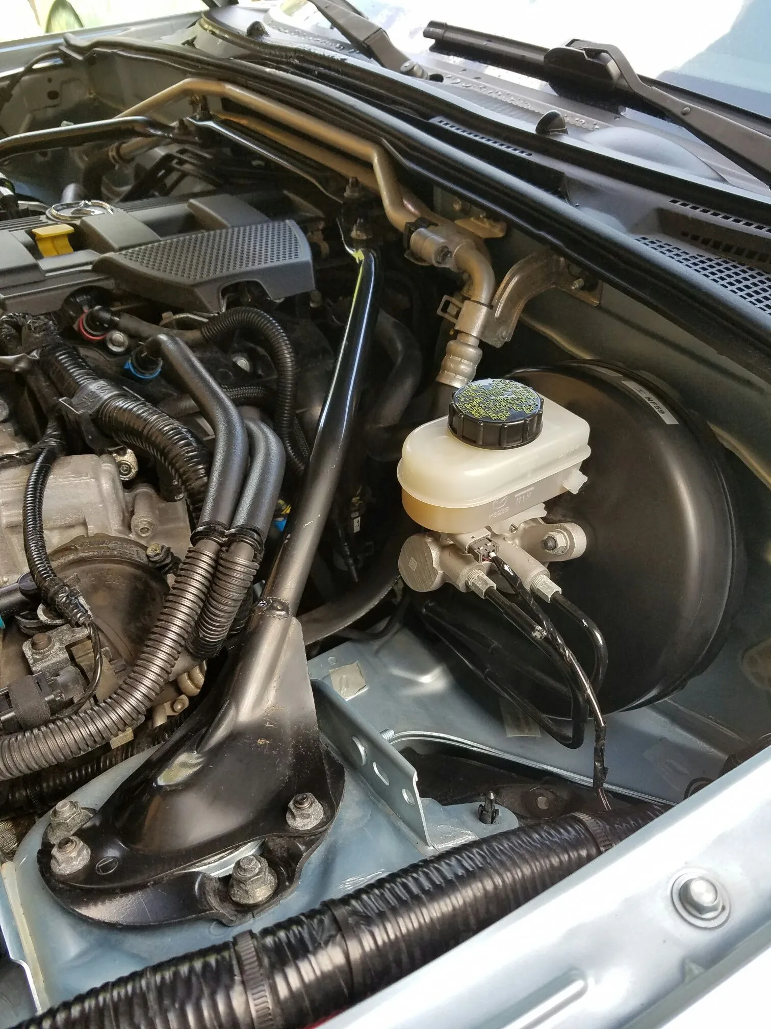 Emilia - Engine Bay - Clean2.jpeg