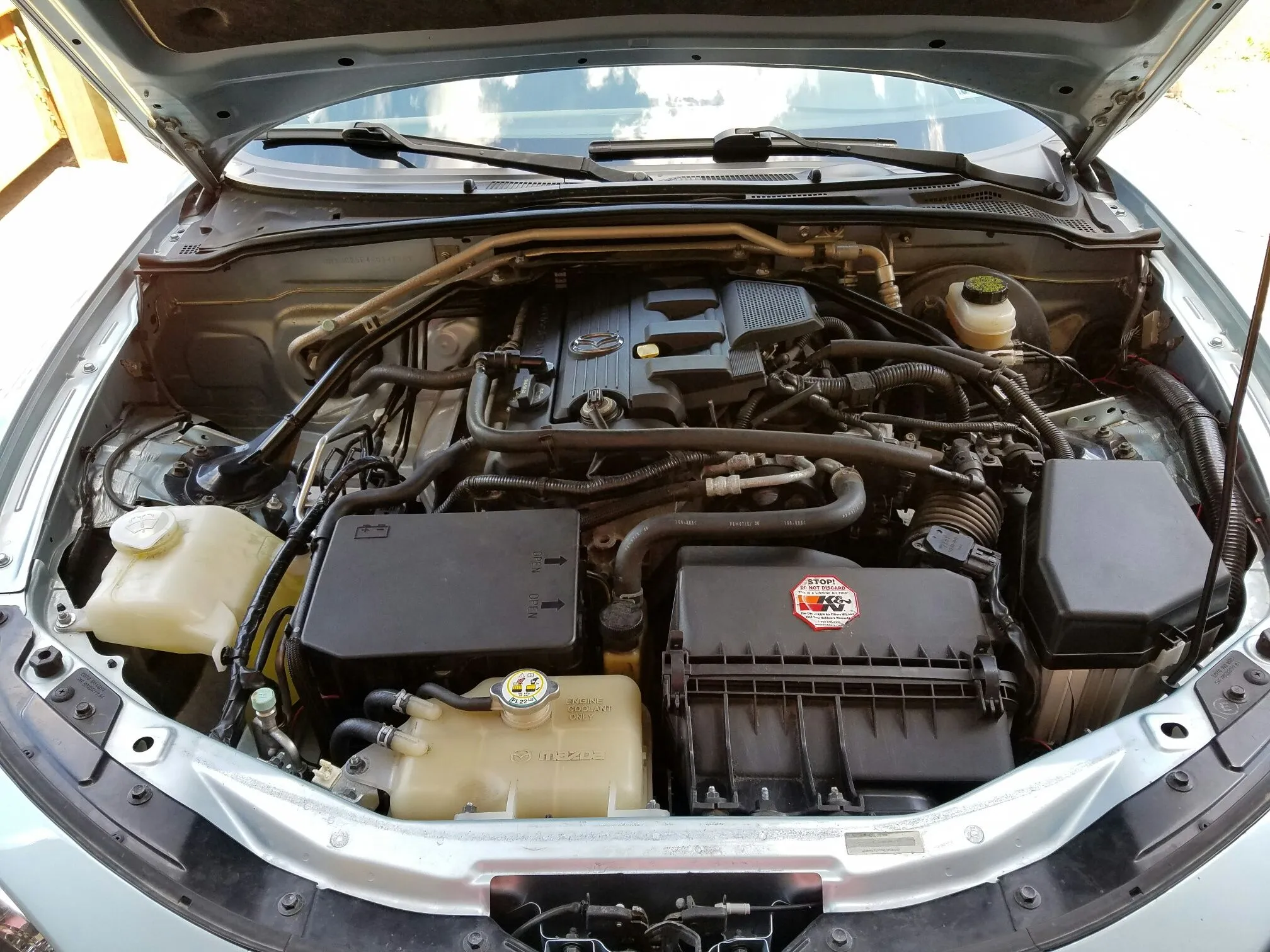 Emilia - Engine Bay - Dirty.jpeg