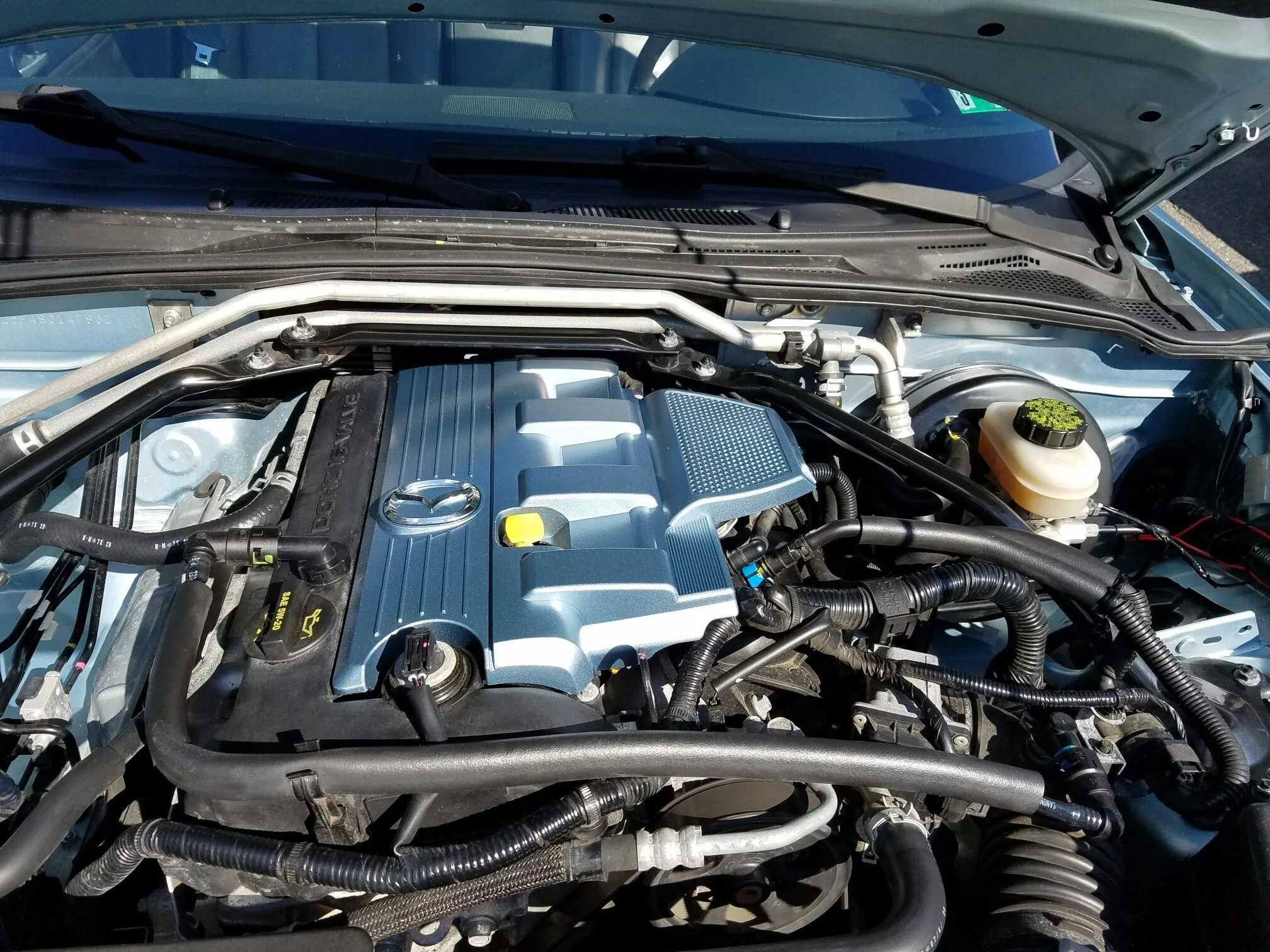 Emilia - Engine Cover - Sun.jpeg