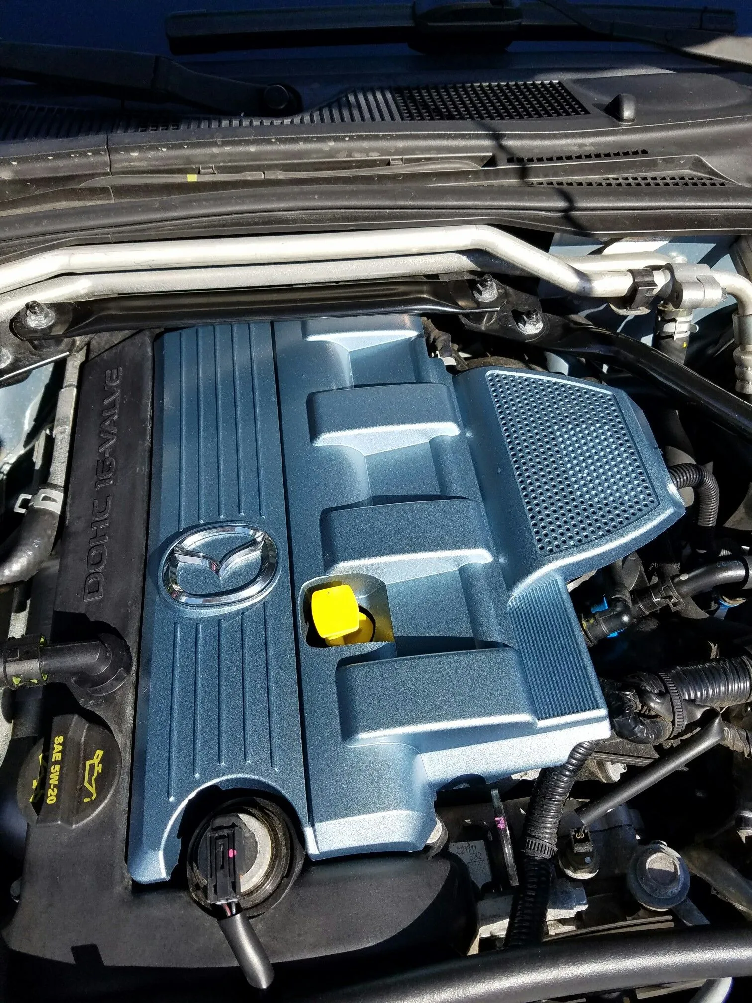 Emilia - Engine Cover - Sun1.jpeg