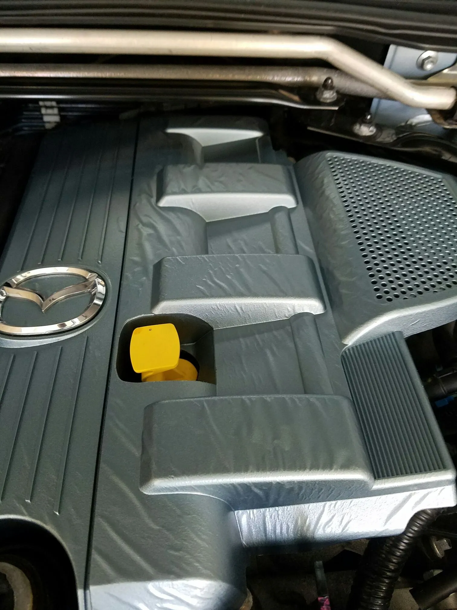 Emilia - Engine Cover WTF.jpeg