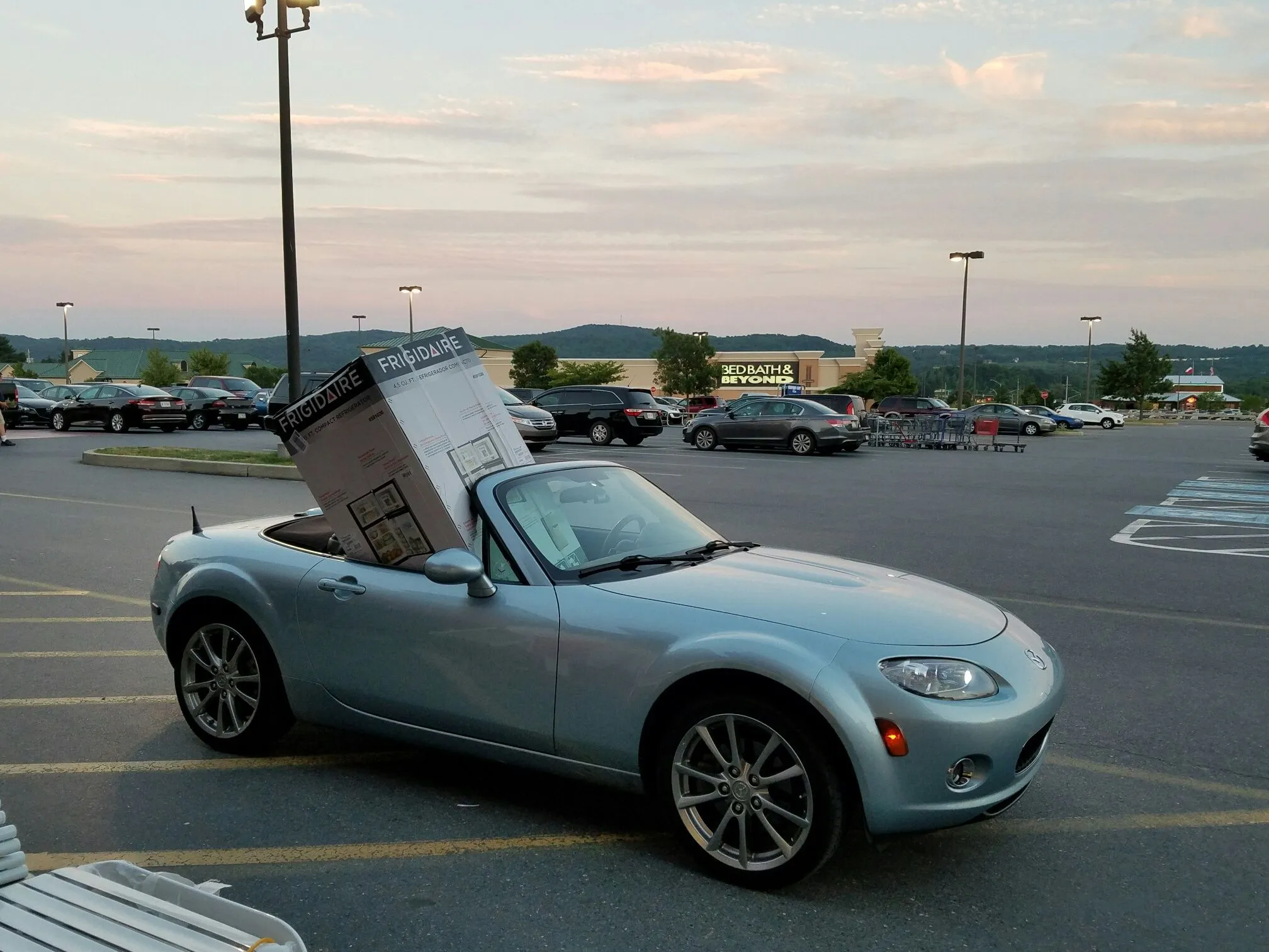 Emilia - Fridge3.jpeg