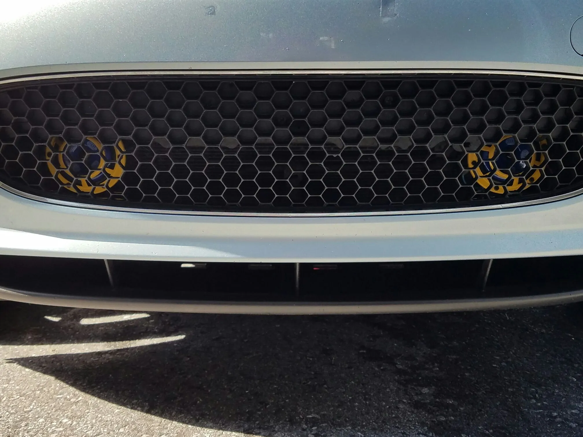 Emilia - Hella Sharptones1.jpeg