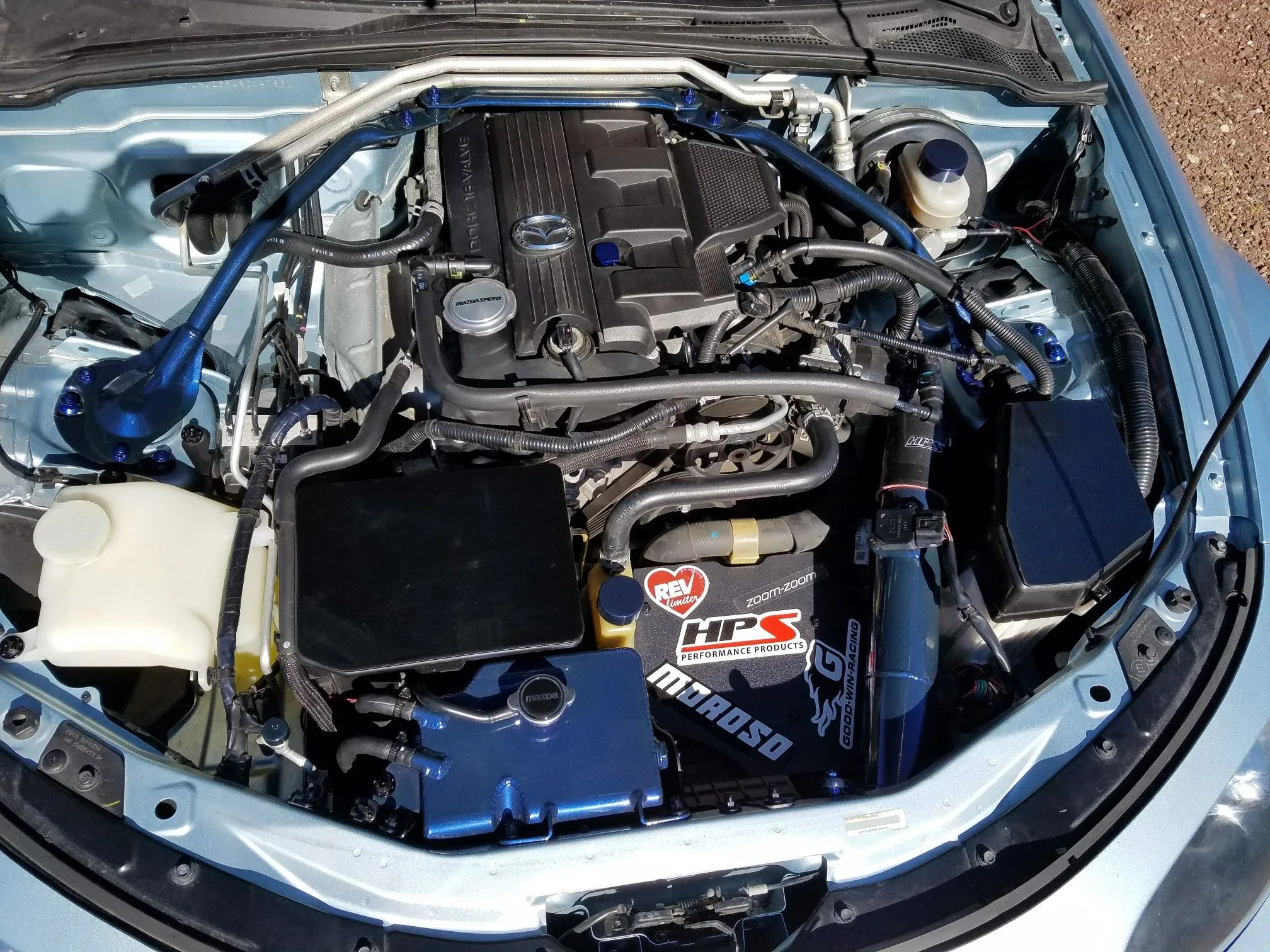 Emilia - March 29th 2017.jpeg