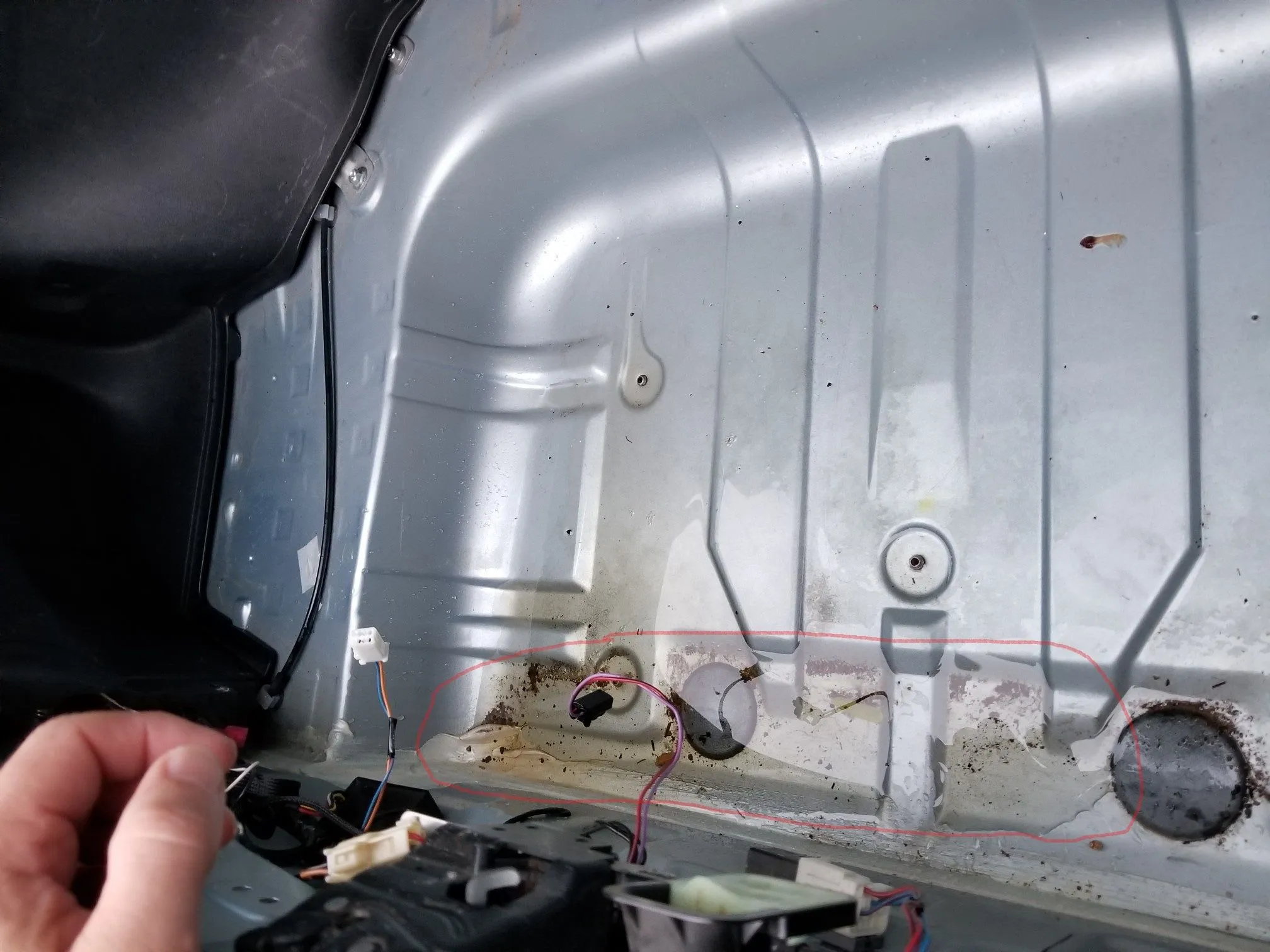 Emilia - Trunk Leak 9-20.jpeg