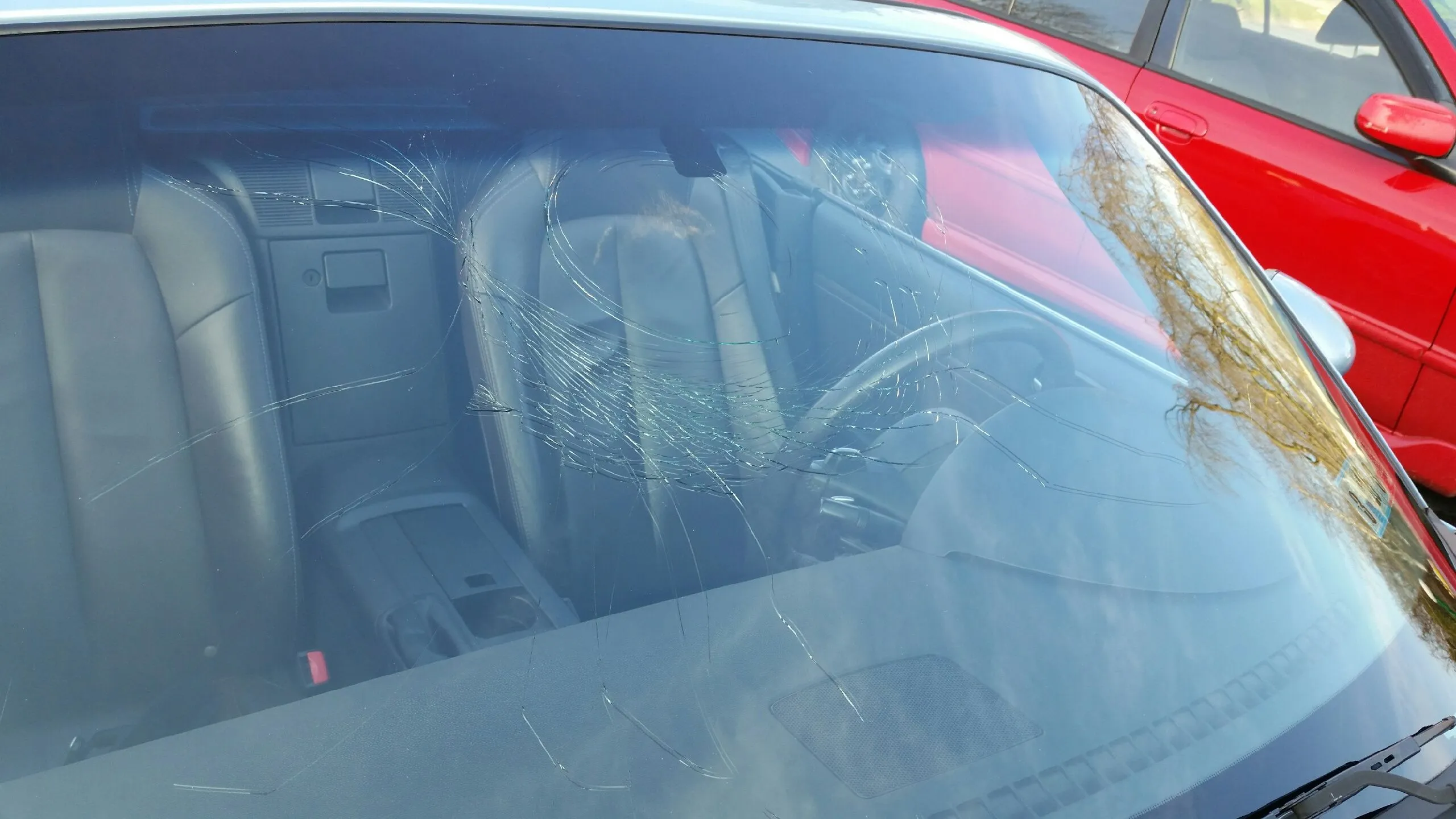 Emilia - Windshield - Outside View.jpeg