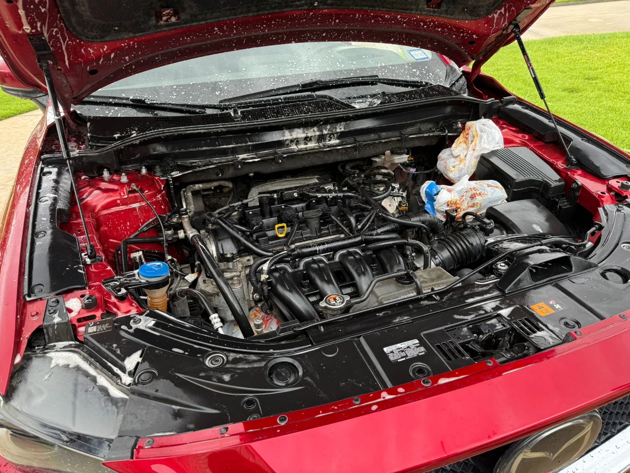 Engine bay cleaning 2.webp