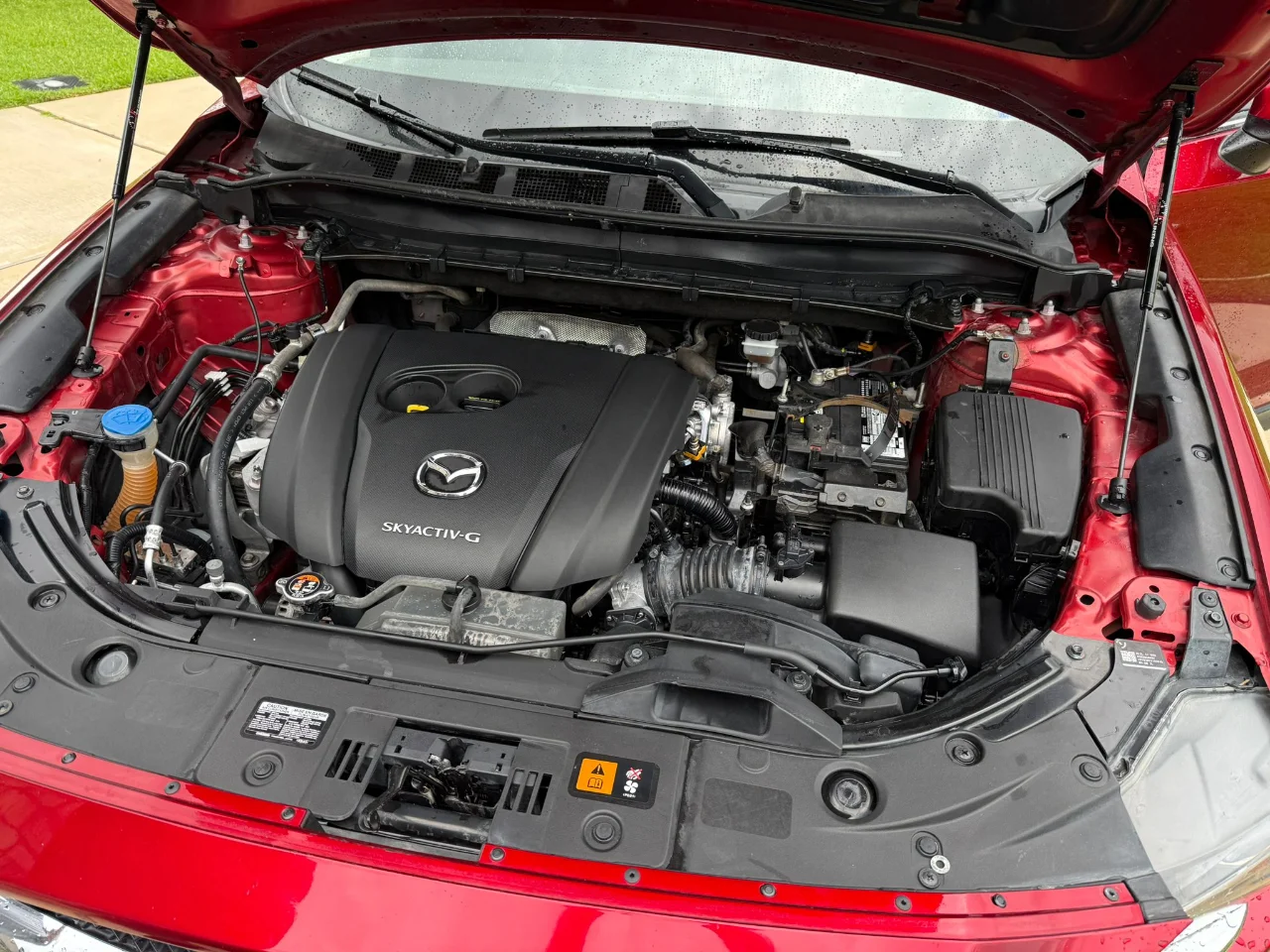 Engine bay cleaning 8.webp