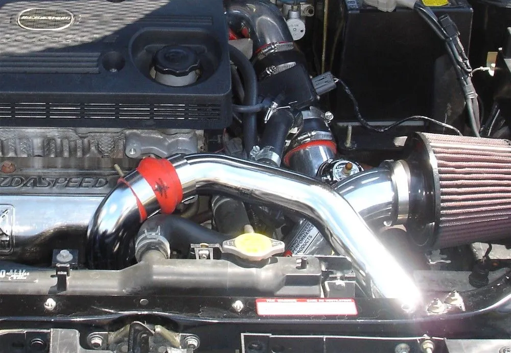enginebayincolor.JPG