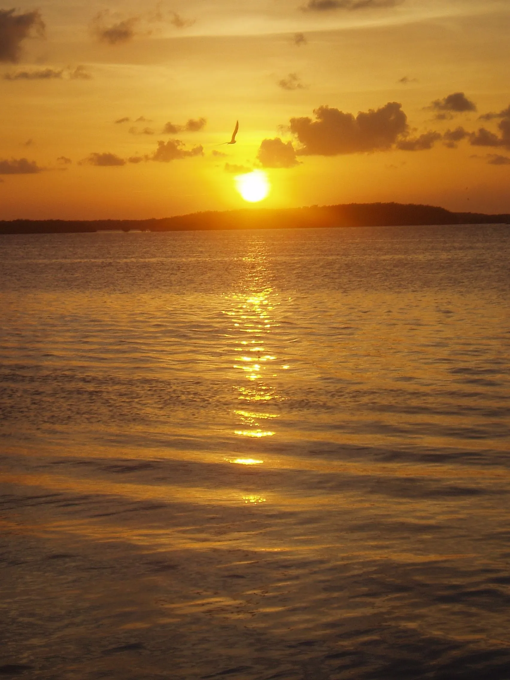 Erin Miami 044.webp
